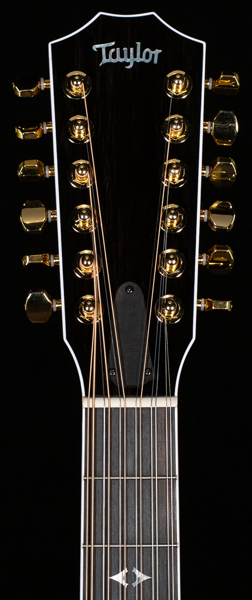 Taylor 858e LTD Rosewood/Sitka 50th Anniversary (050)