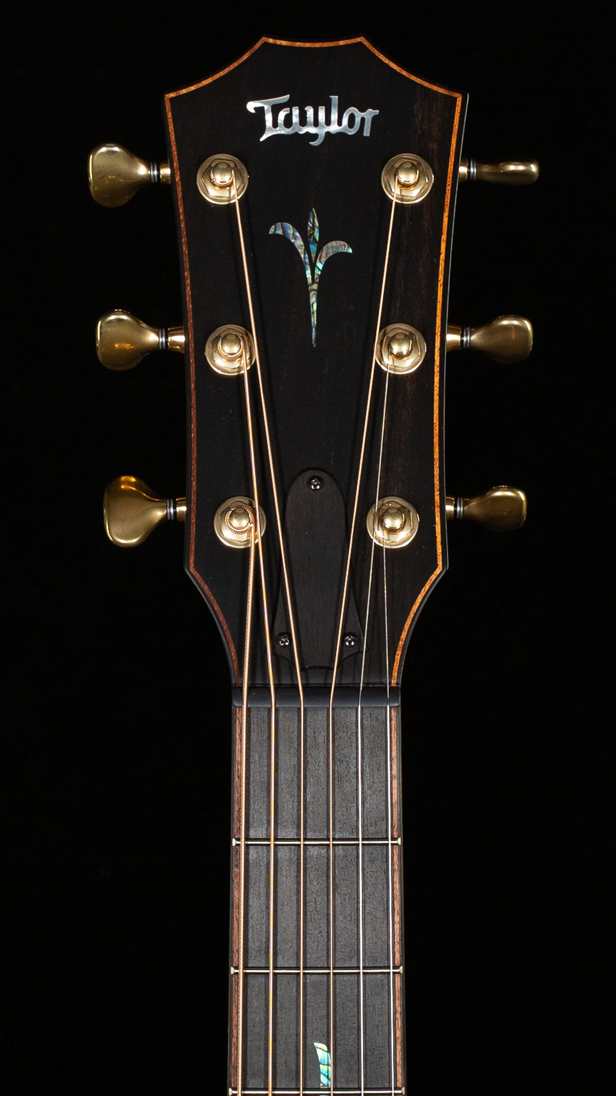 Taylor Builder's Edition K24ce (011)
