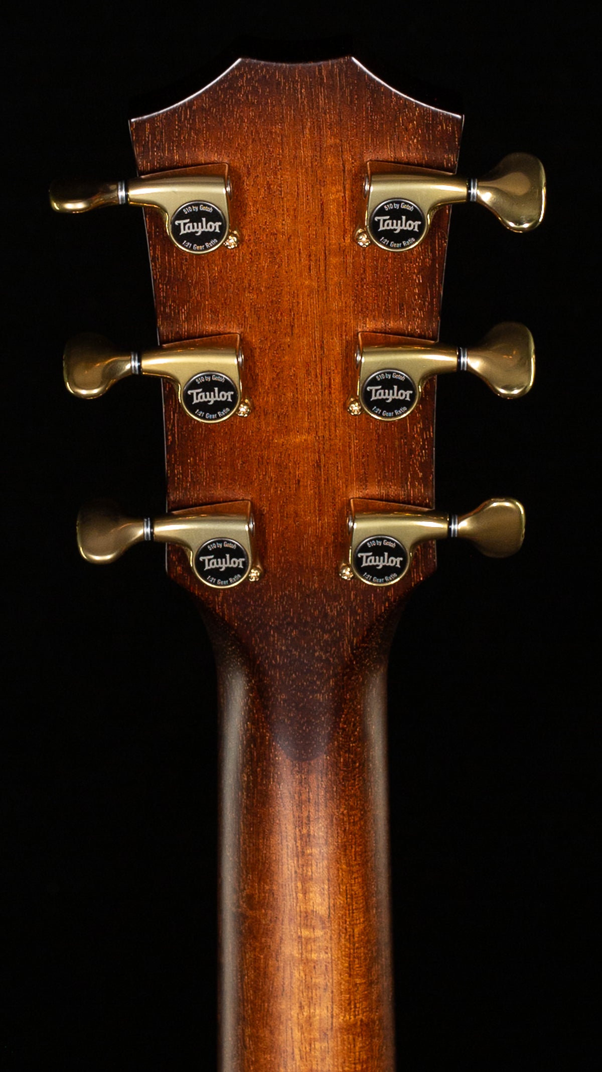 Taylor Builder's Edition K24ce (011)