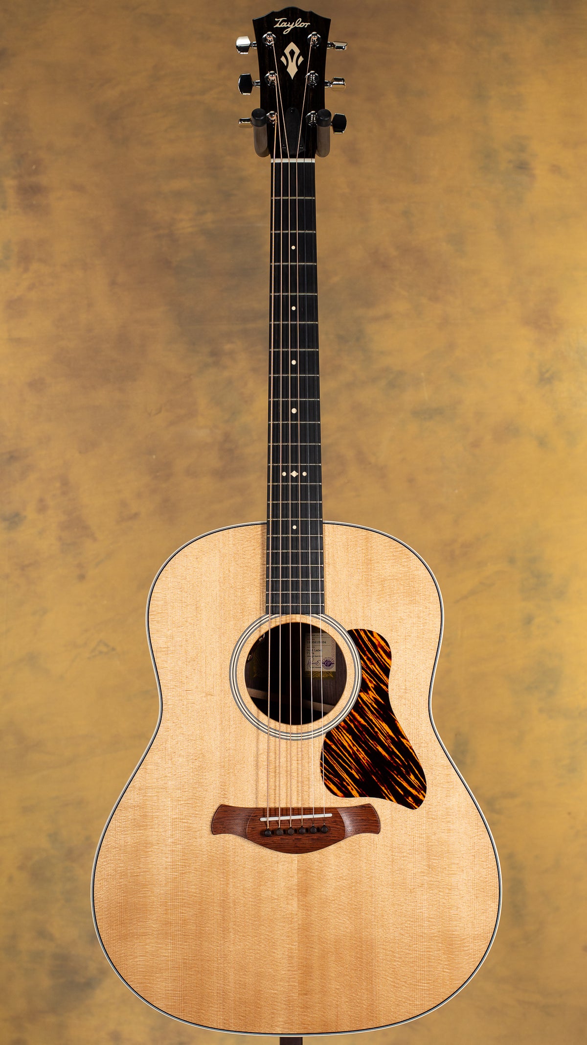 2025 Gold Label Taylor 717e Acoustic Guitar