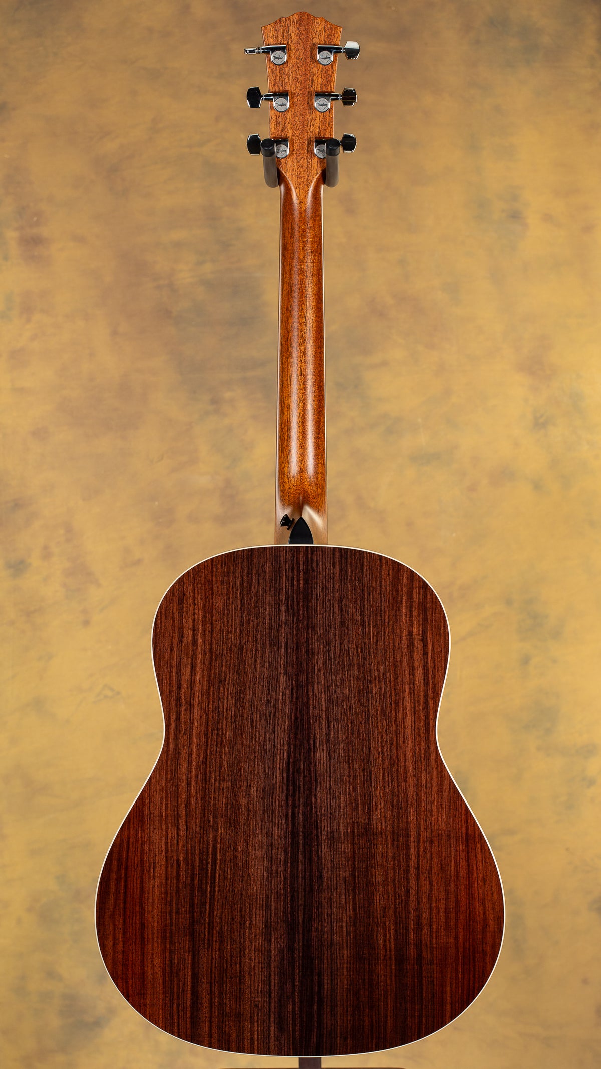 2025 Gold Label Taylor 717e Acoustic Guitar