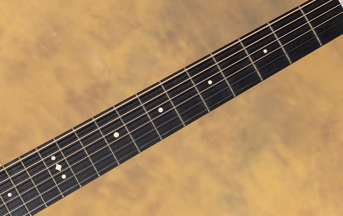 2025 Gold Label Taylor 717e Acoustic Guitar