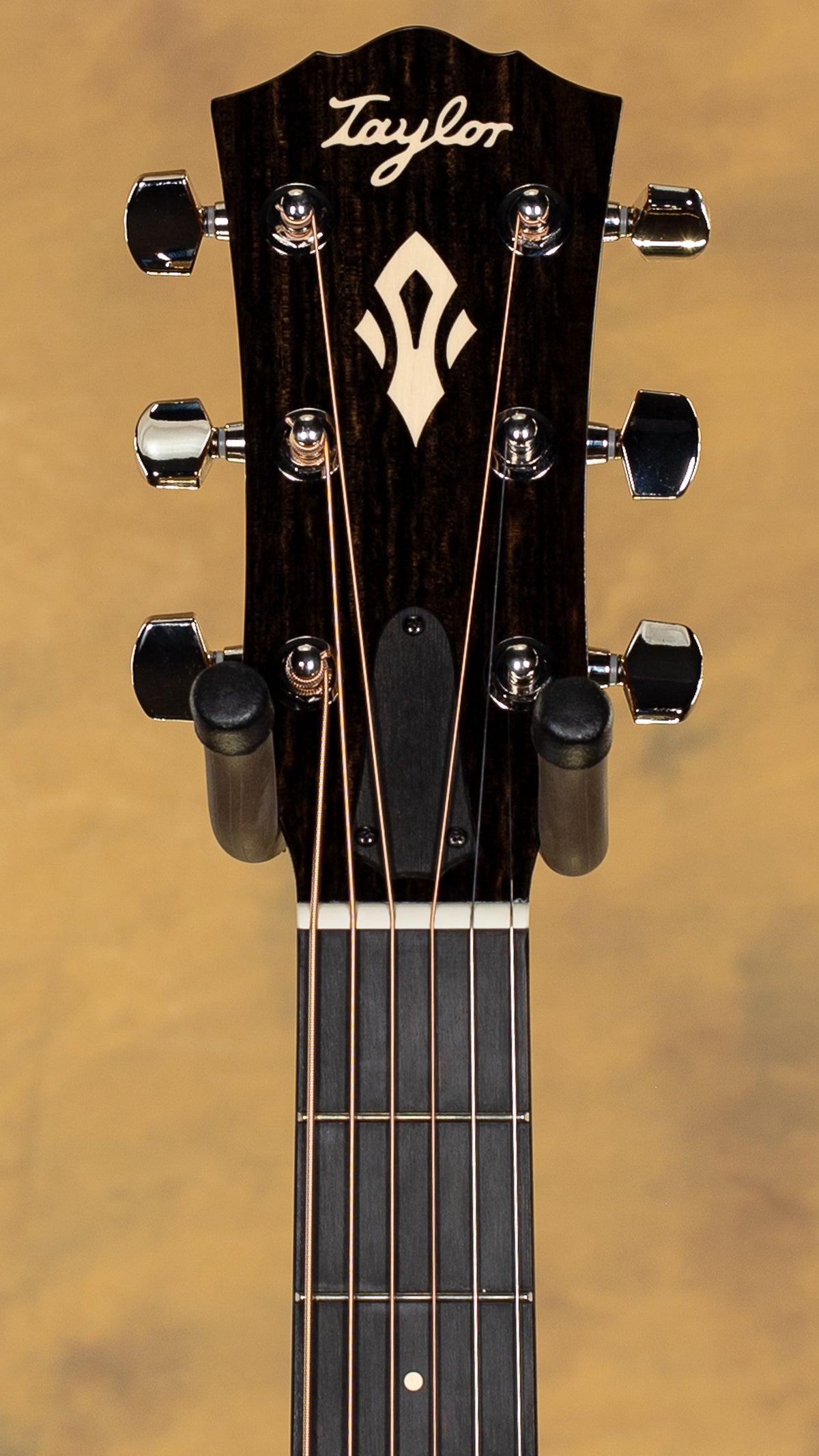 2025 Gold Label Taylor 717e Acoustic Guitar