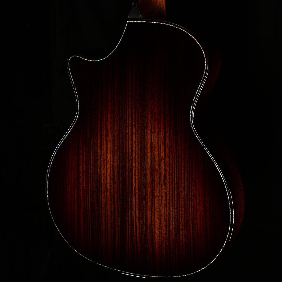 Taylor Next Generation Builder's Edition 914ce (009)