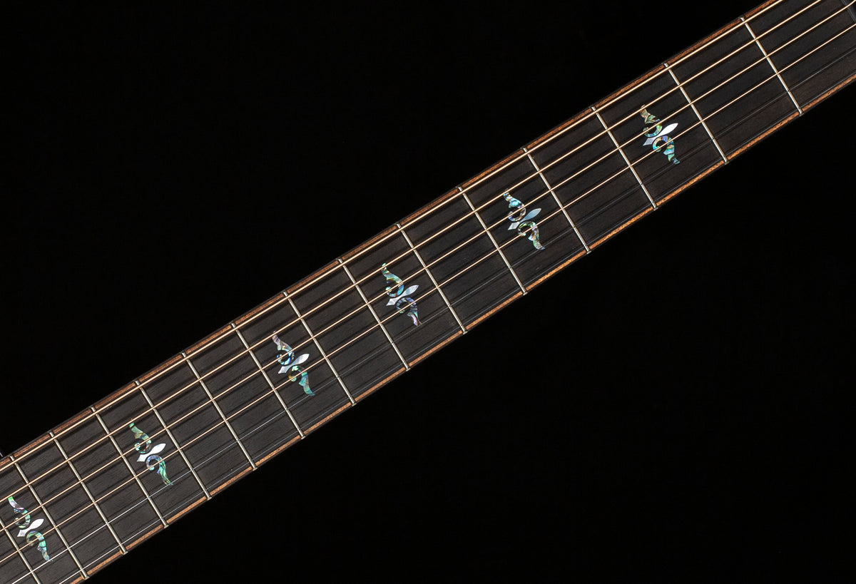 Taylor Next Generation Builder's Edition 914ce (009)