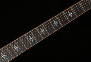 Taylor Next Generation Builder's Edition 914ce (009)