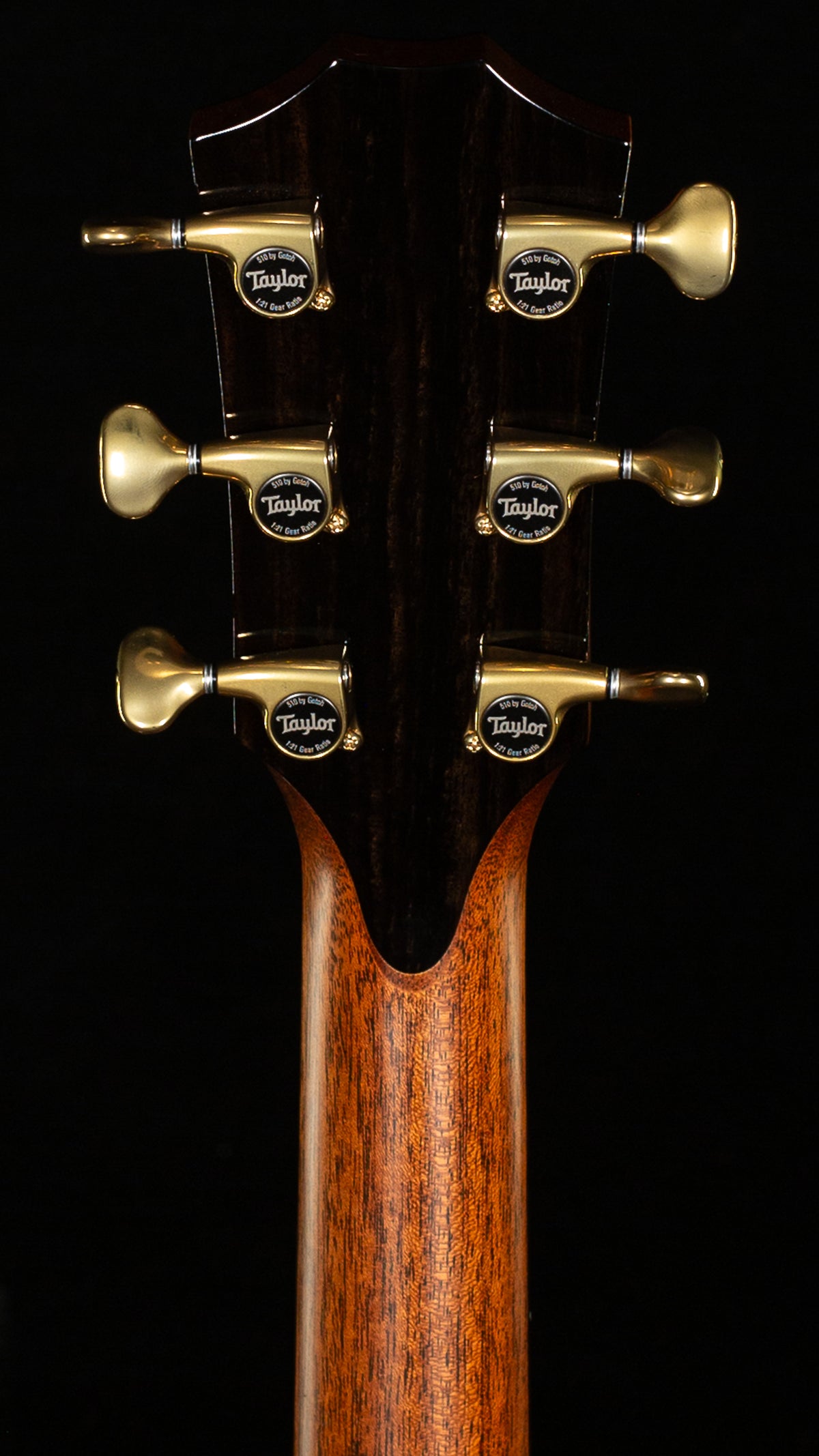 Taylor Next Generation Builder's Edition 914ce (009)