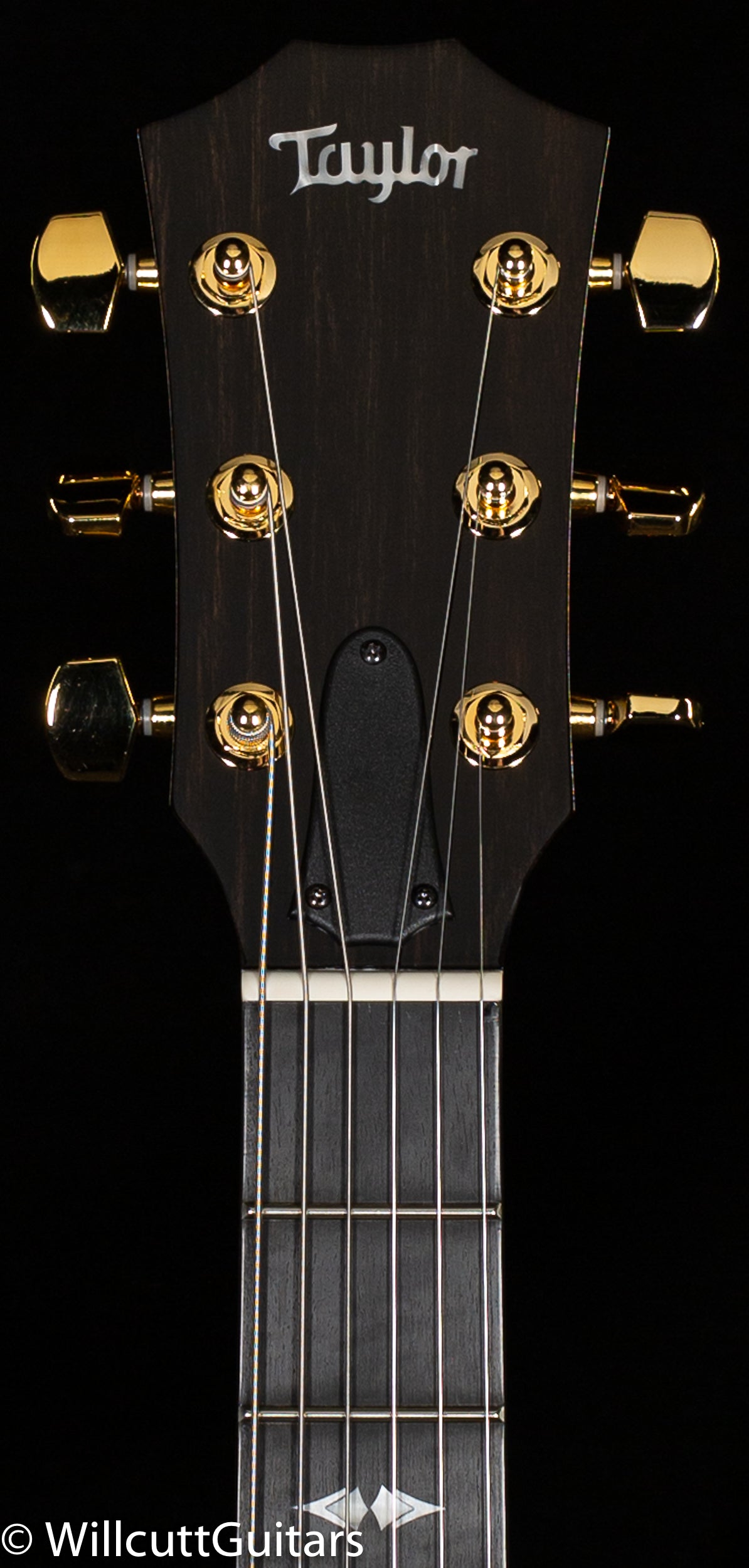 Taylor T5z Custom,Armrest (112)