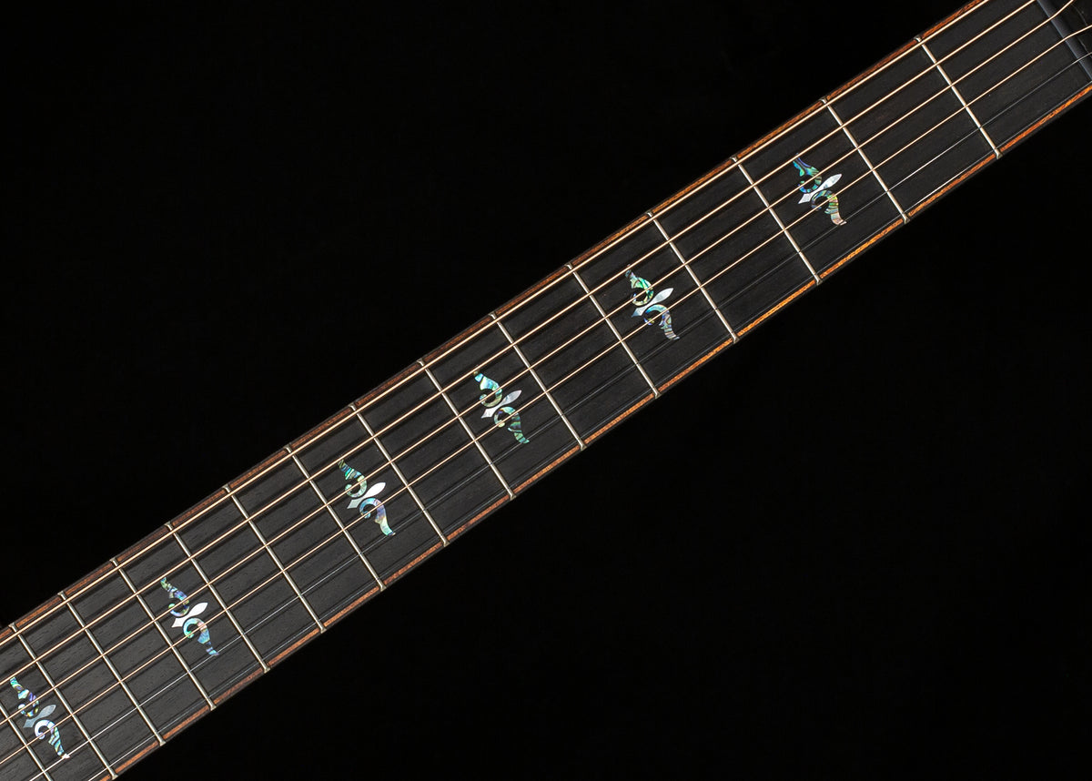 Taylor Builder's Edition 914ce Honduran Rosewood/Sinker Redwood (016)