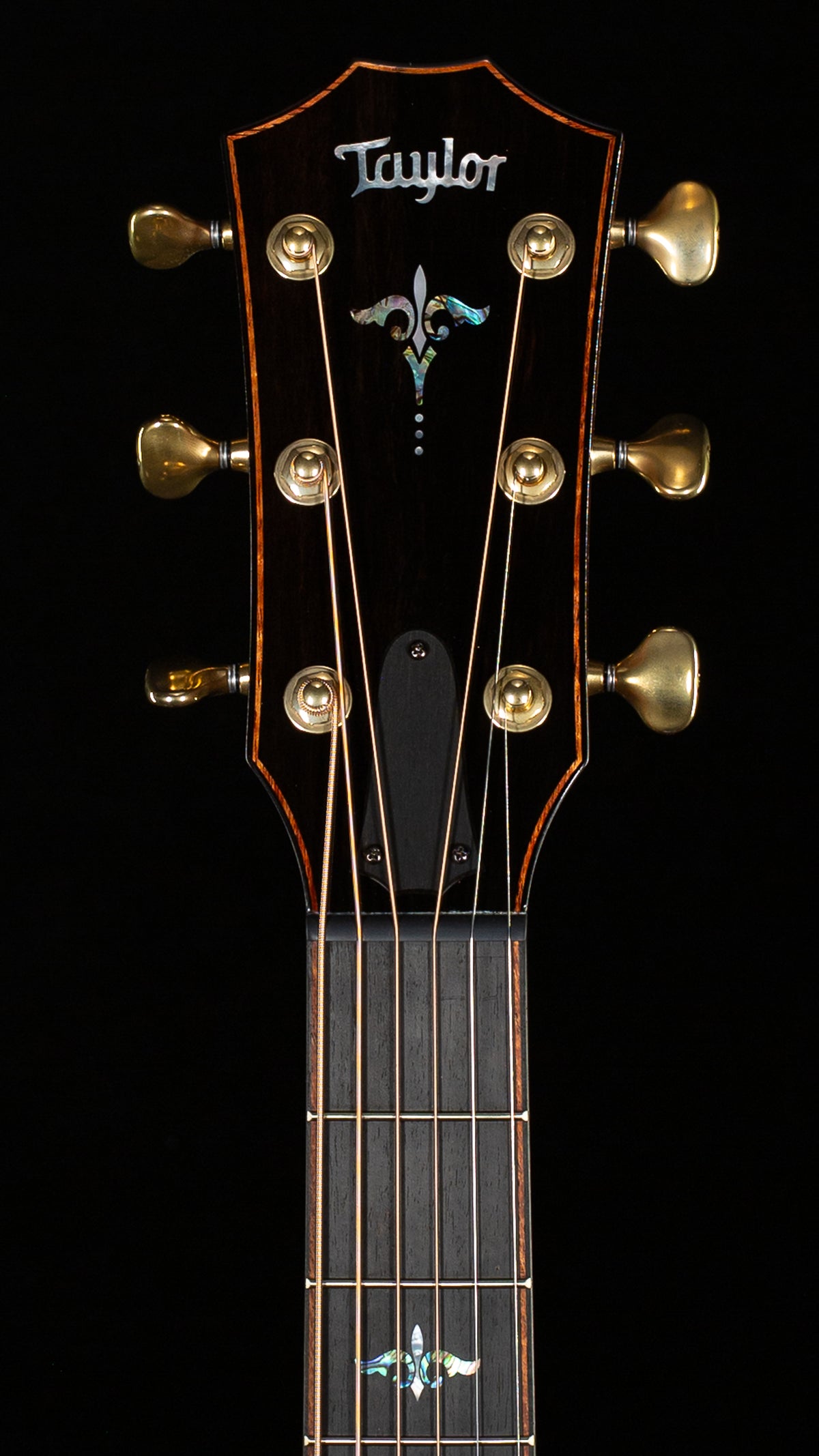 Taylor Builder's Edition 914ce Honduran Rosewood/Sinker Redwood (016)
