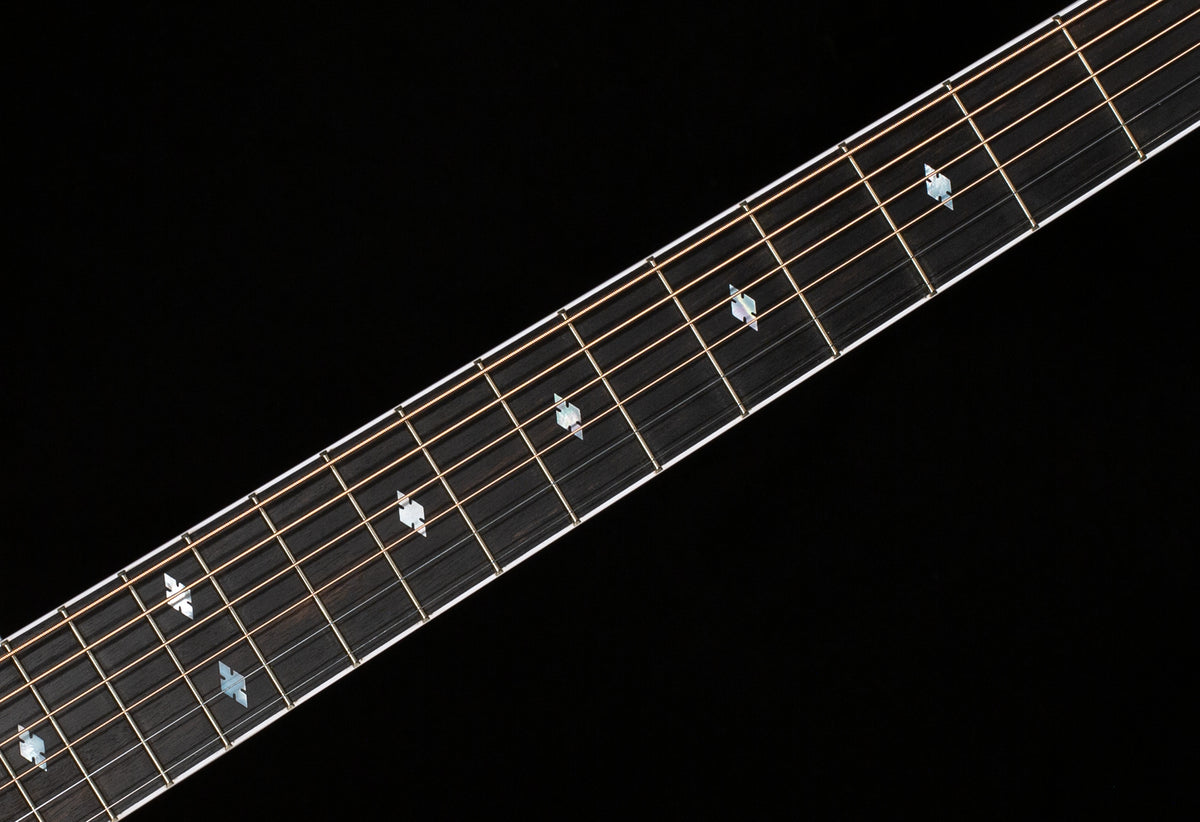 Taylor Legacy 810e Indian Rosewood/Sitka (048)