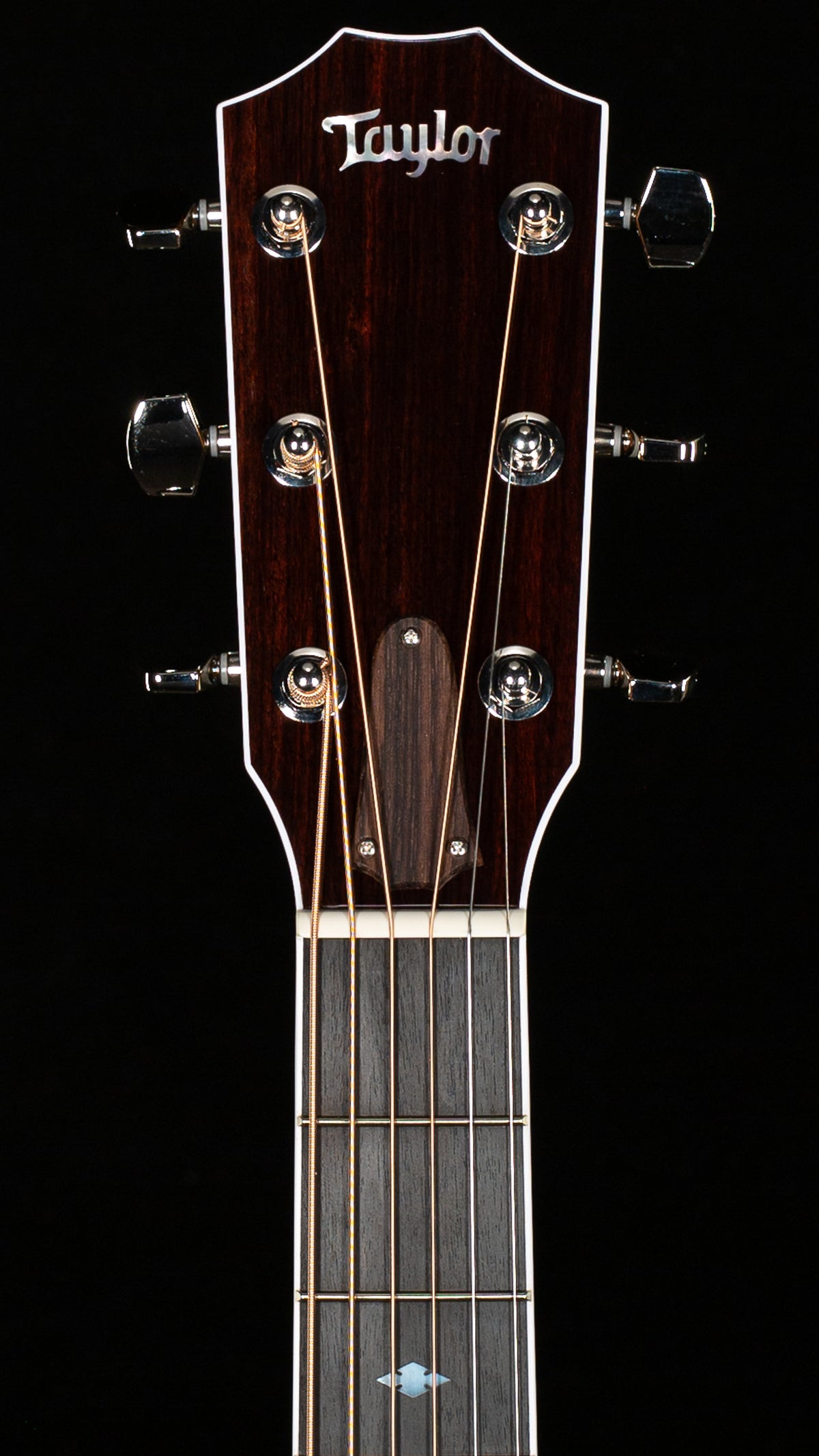 Taylor Legacy 810e Indian Rosewood/Sitka (048)