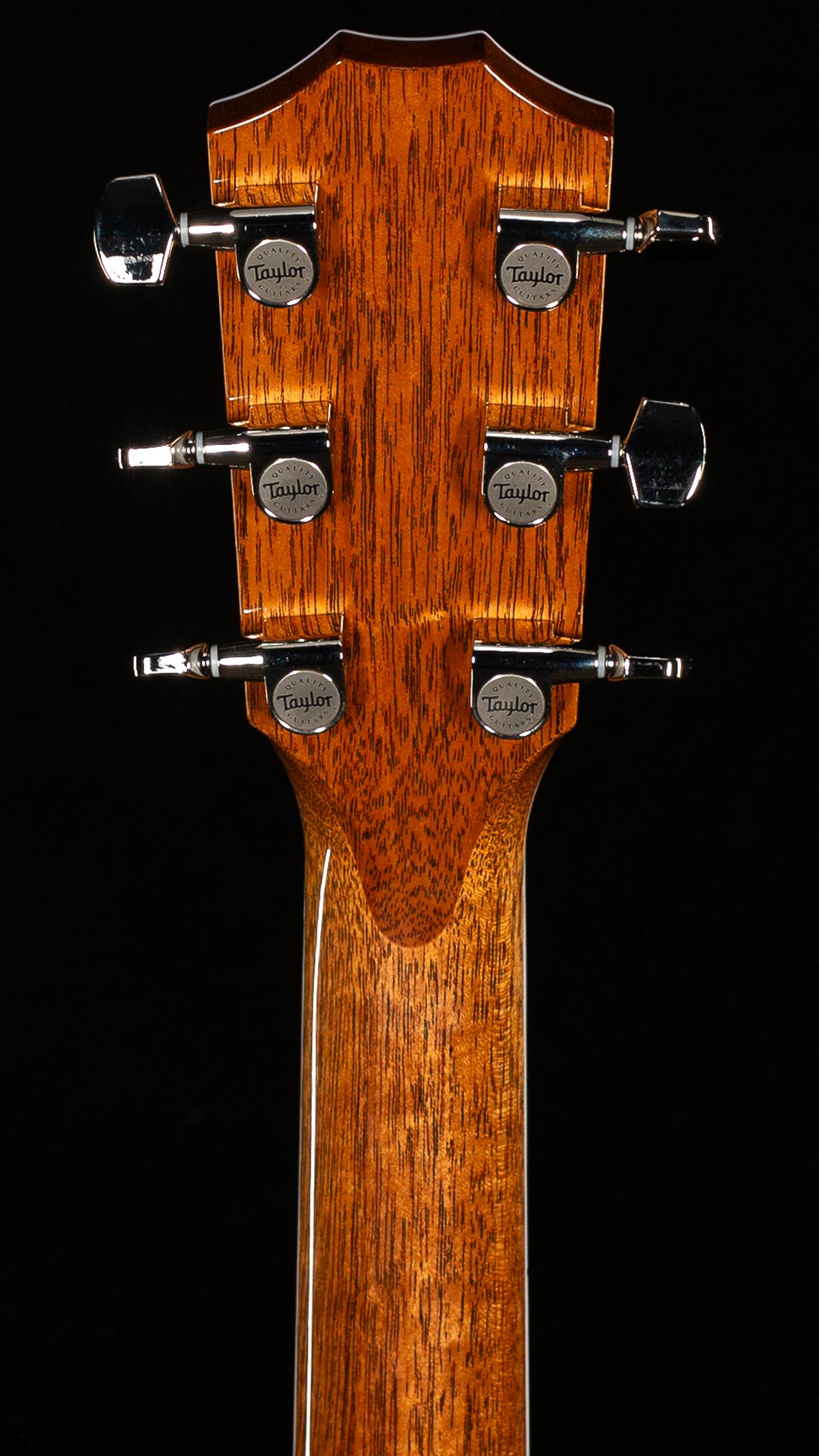 Taylor Legacy 810e Indian Rosewood/Sitka (048)