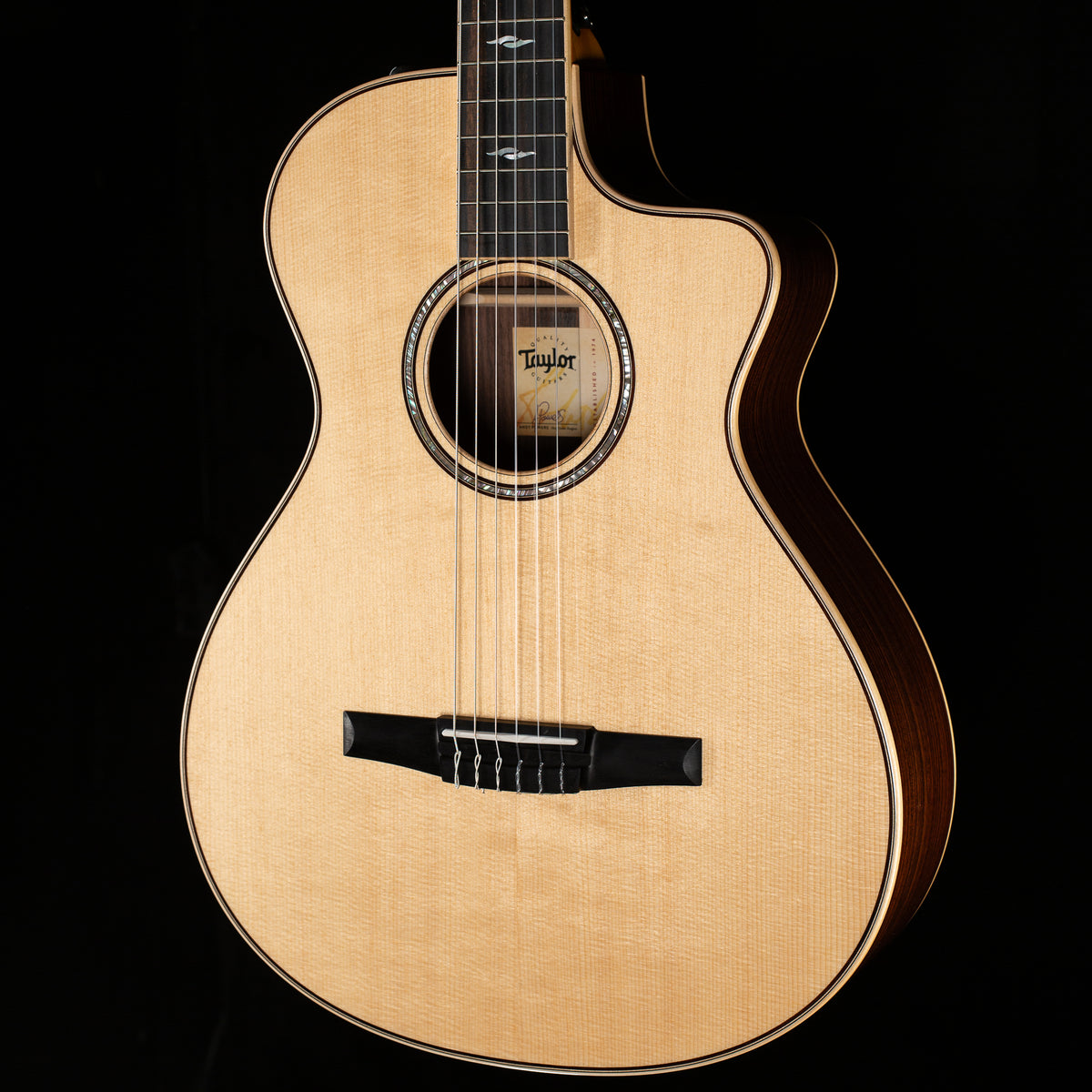 Taylor 812ce-Nylon Indian Rosewood (069)