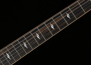 Taylor 812ce-Nylon Indian Rosewood (069)