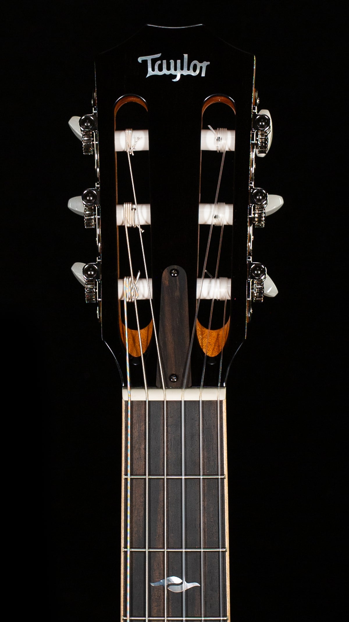 Taylor 812ce-Nylon Indian Rosewood (069)