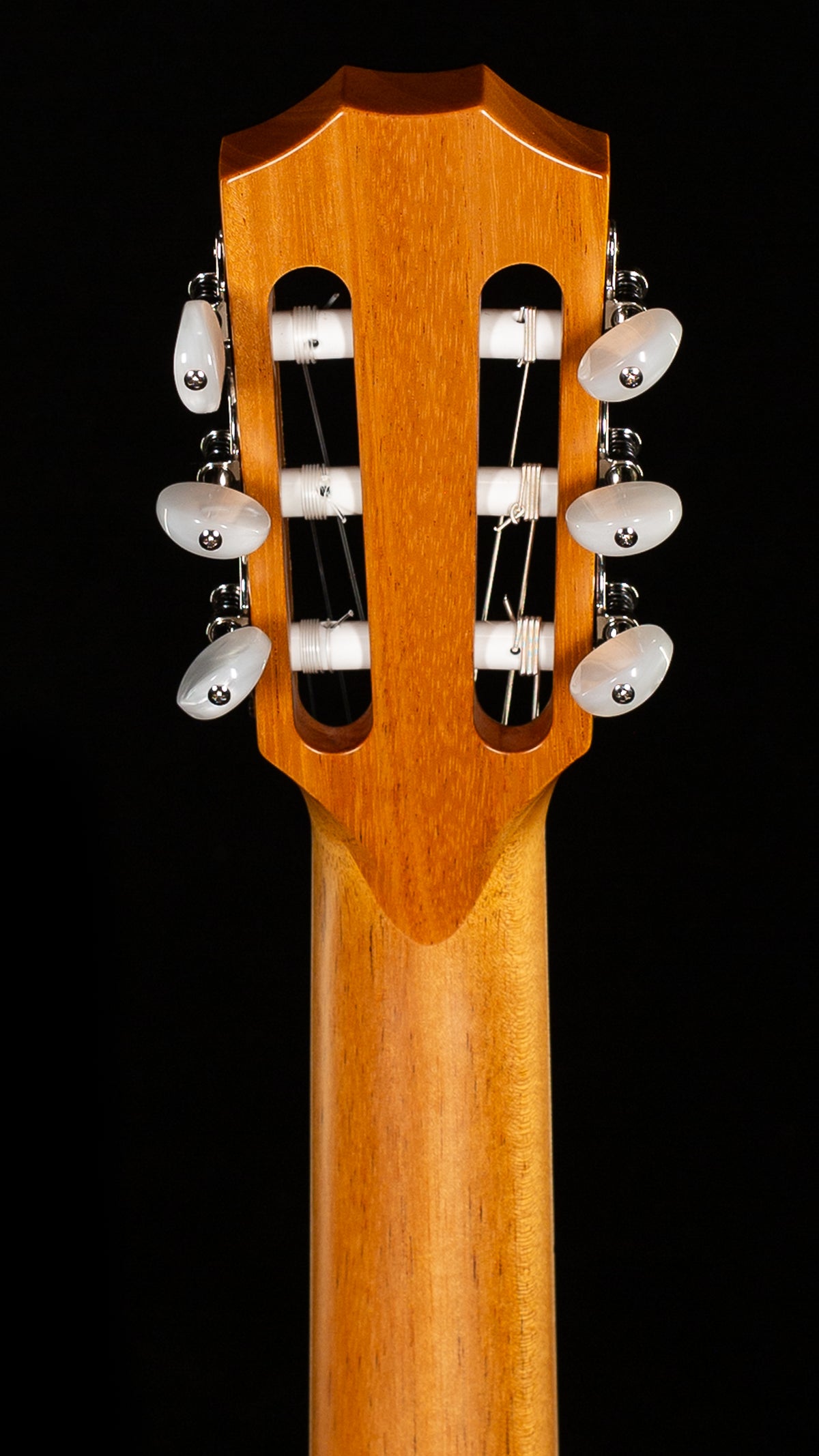 Taylor 812ce-Nylon Indian Rosewood (069)