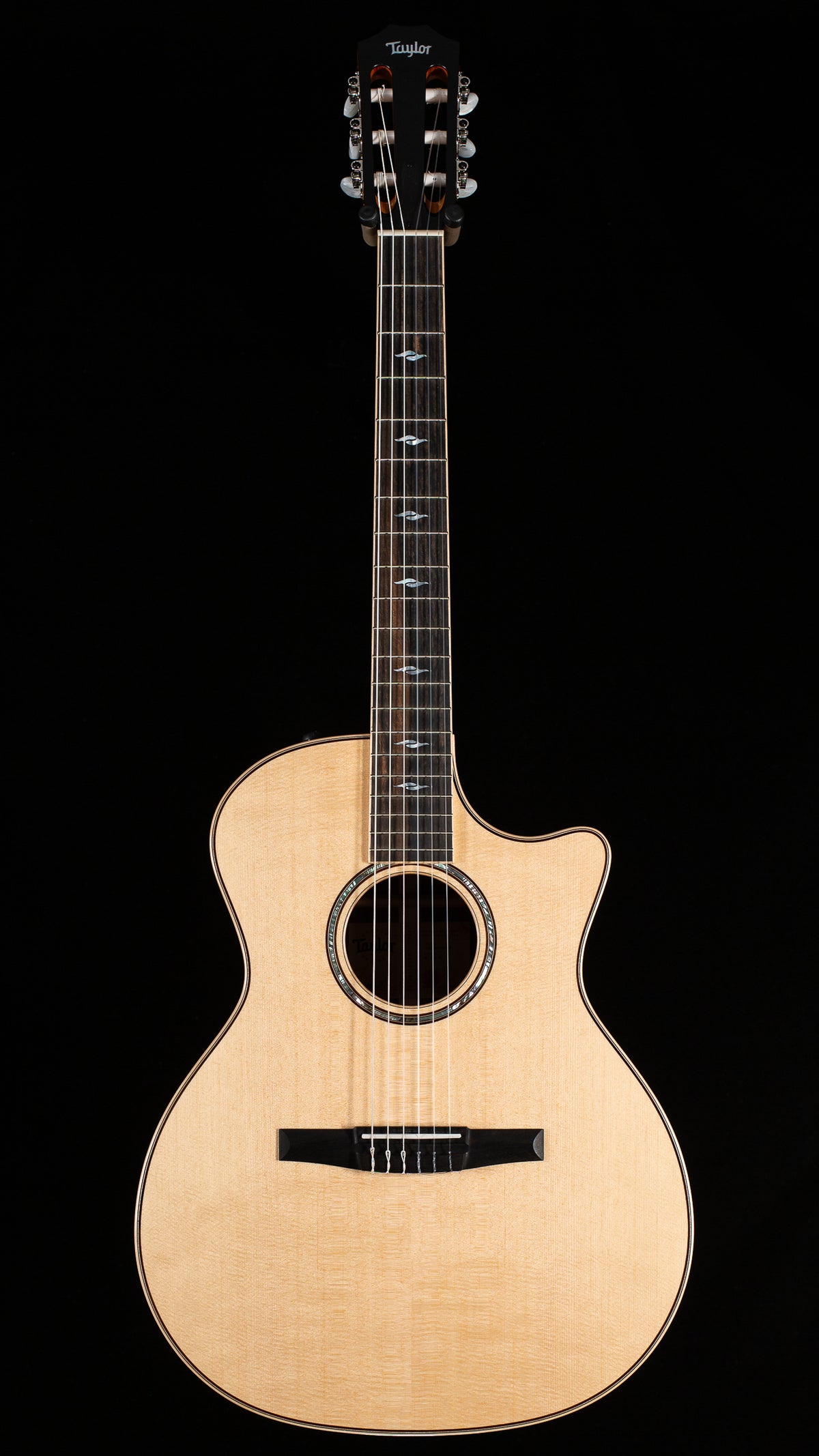 Taylor 814ce-Nylon Indian Rosewood (088)