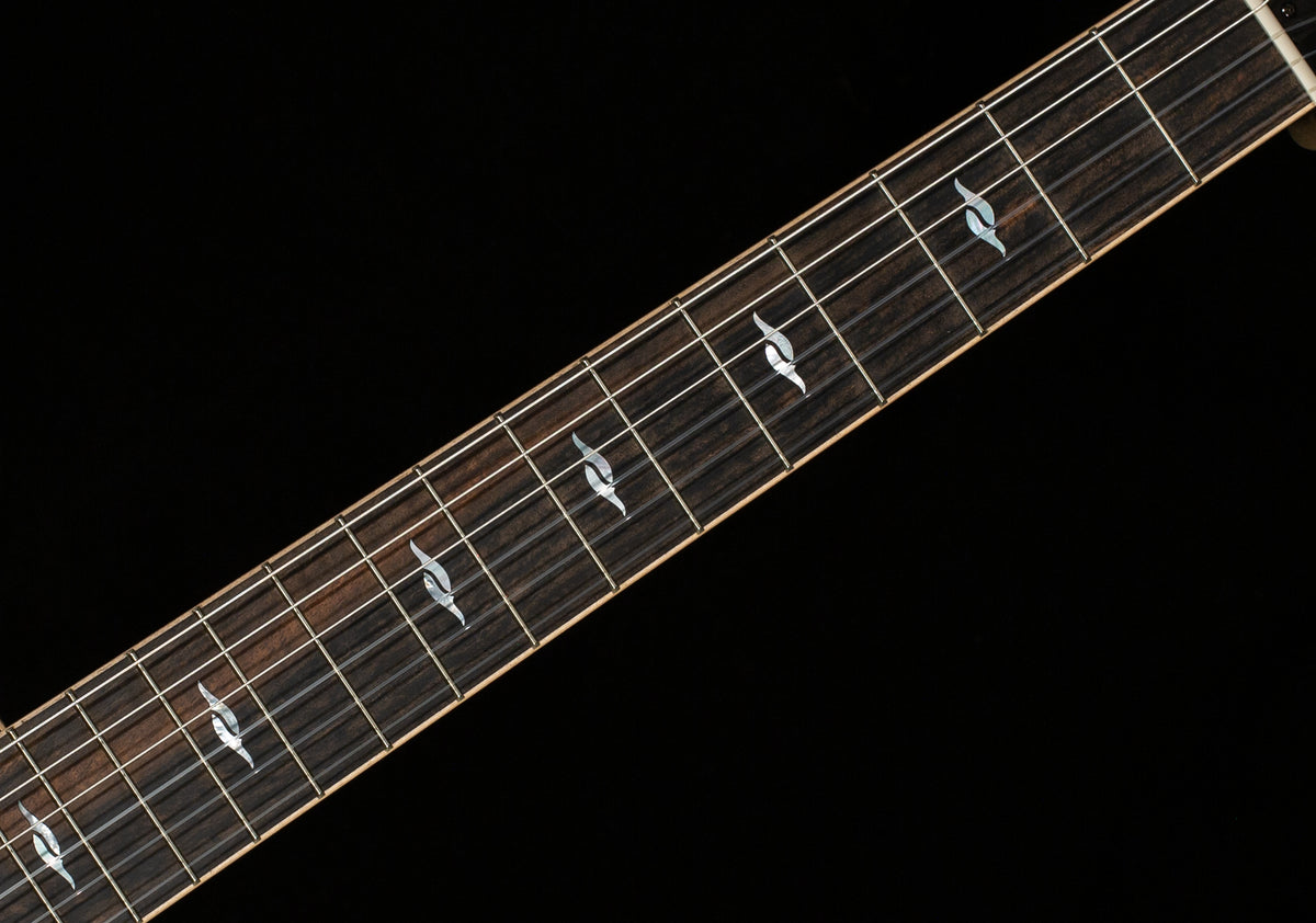 Taylor 814ce-Nylon Indian Rosewood (088)