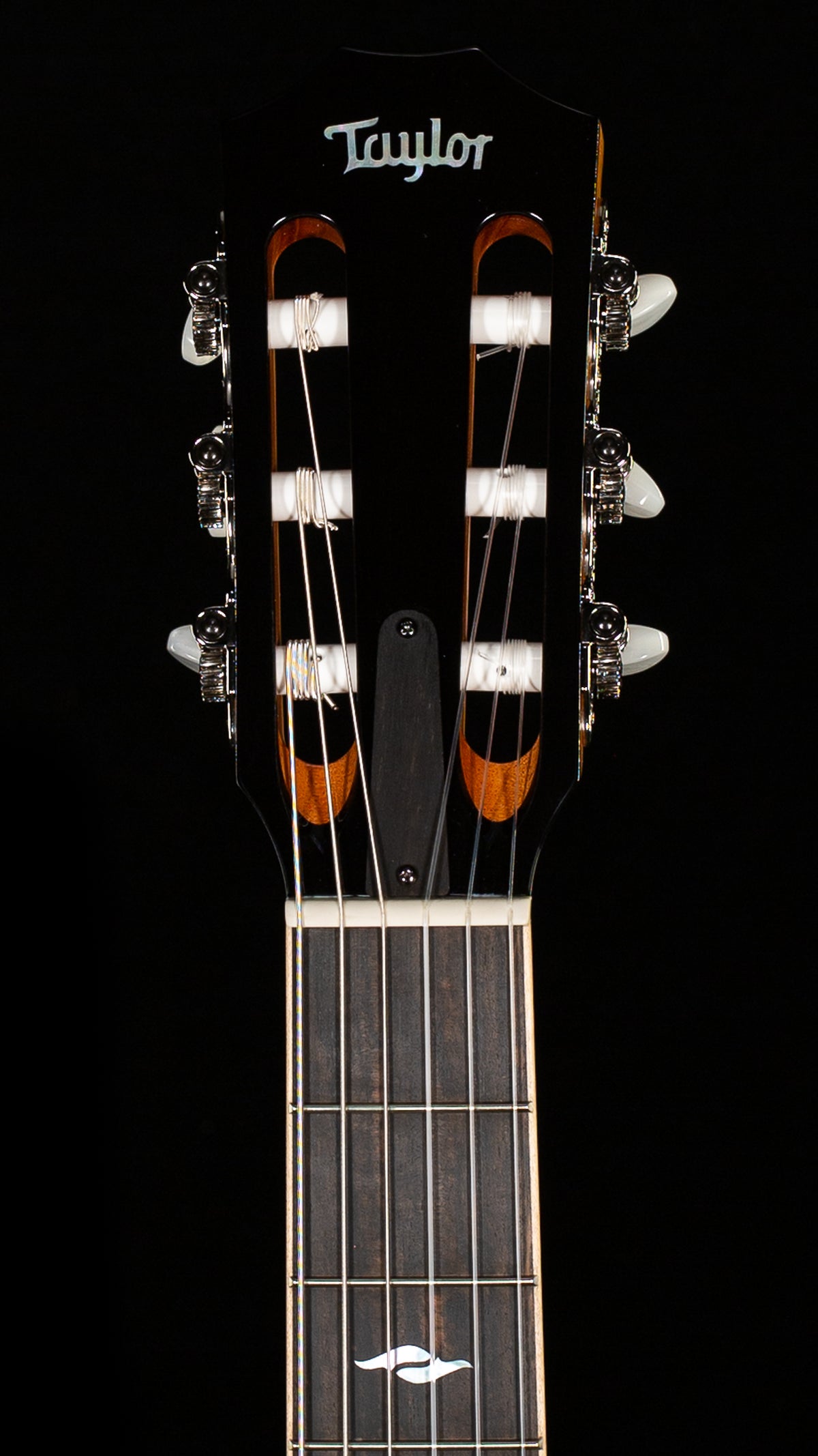 Taylor 814ce-Nylon Indian Rosewood (088)