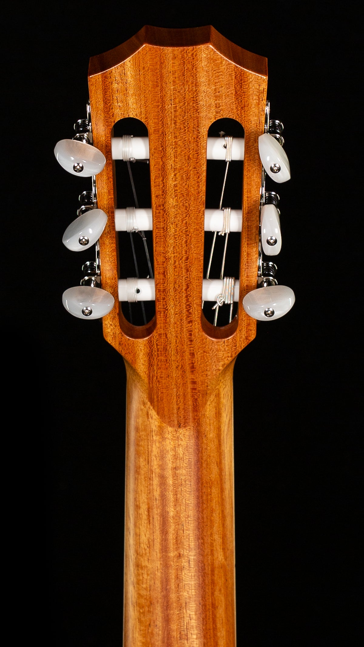 Taylor 814ce-Nylon Indian Rosewood (088)