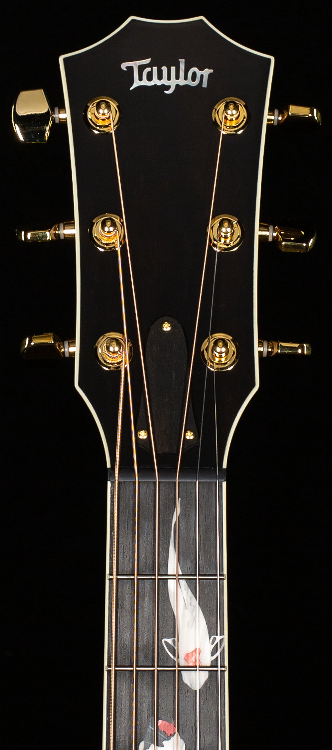 Taylor 2025 Custom #41 Koi C17e Acoustic-electric Guitar &amp; Circa 74 Koi Amp Bundle, Living Jewel Blue (074)