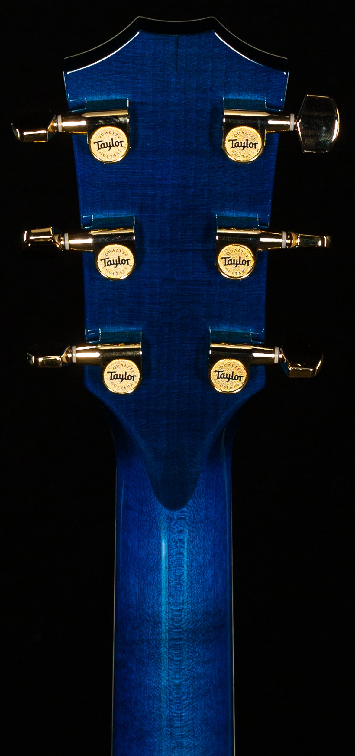 Taylor 2025 Custom #41 Koi C17e Acoustic-electric Guitar &amp; Circa 74 Koi Amp Bundle, Living Jewel Blue (074)