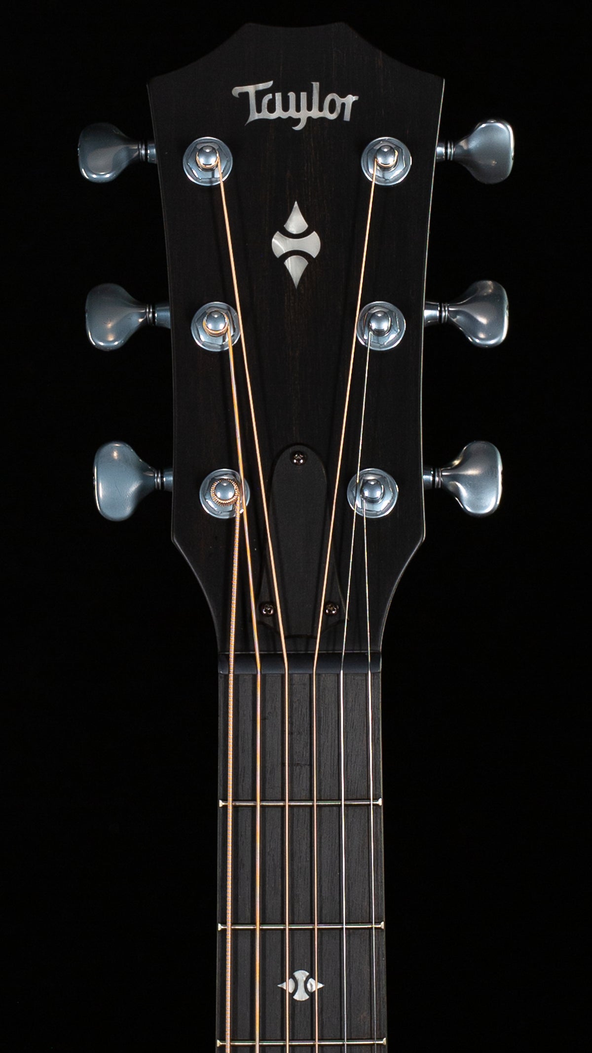 Taylor Next Generation Builder's Edition 524ce 2026 (063)
