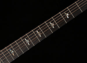 Taylor Next Generation 614ce (011)