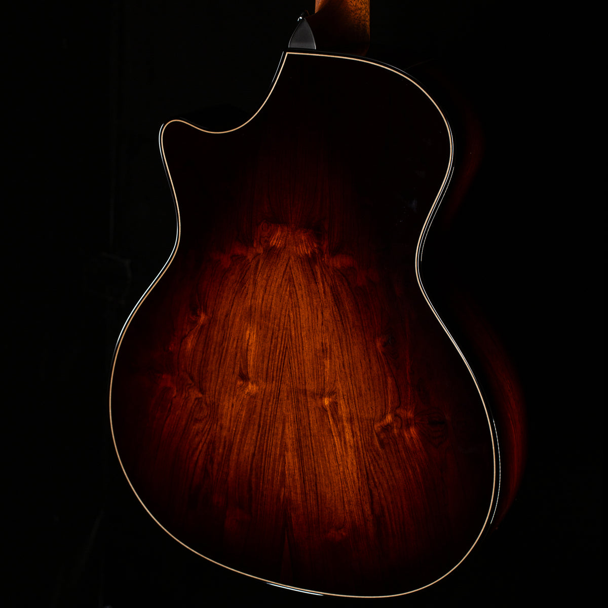 Taylor Next Generation Builder's Edition 814ce Honduran Rosewood/Adirondack Spruce (059)