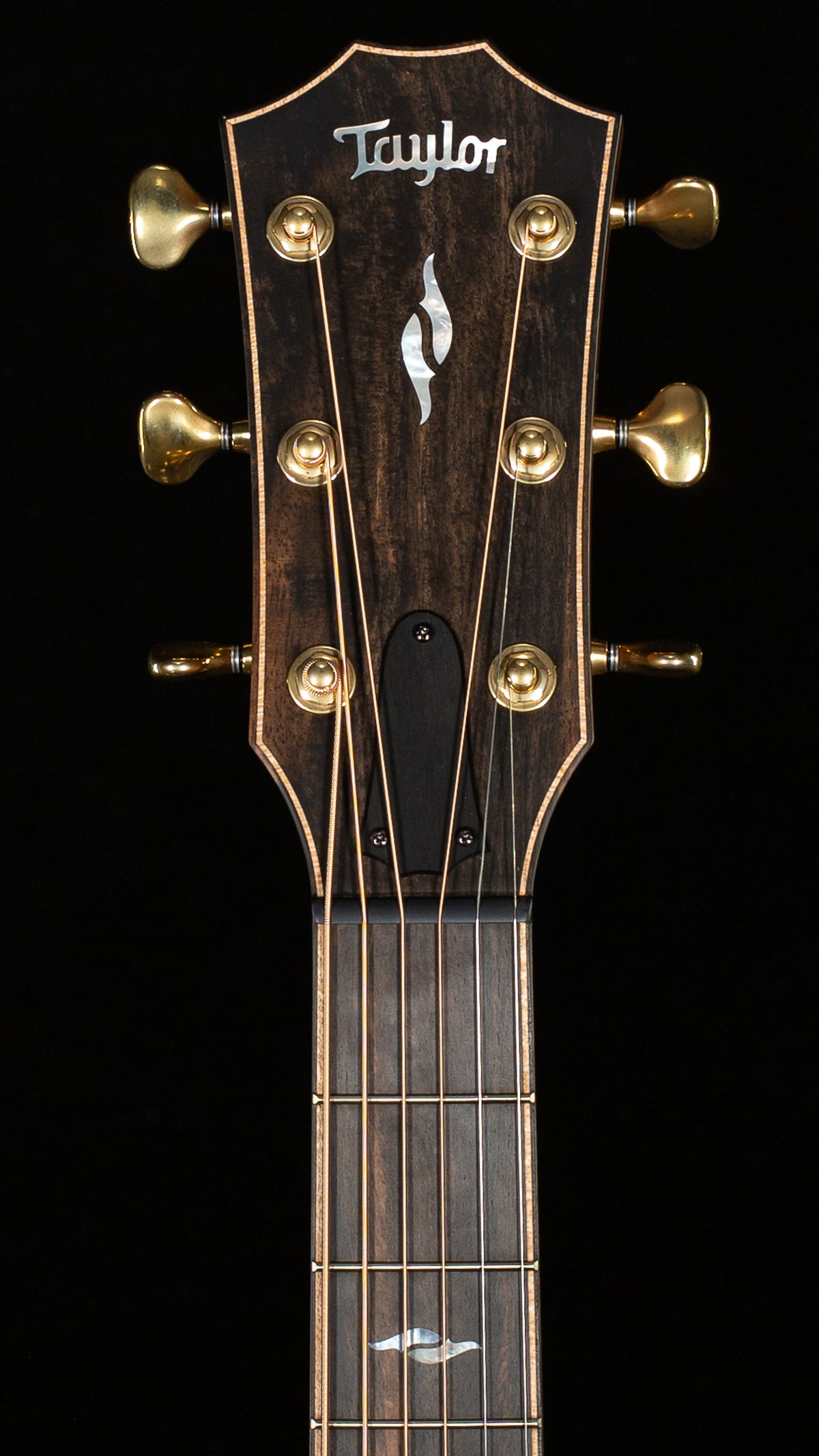 Taylor Next Generation Builder's Edition 814ce Honduran Rosewood/Adirondack Spruce (059)