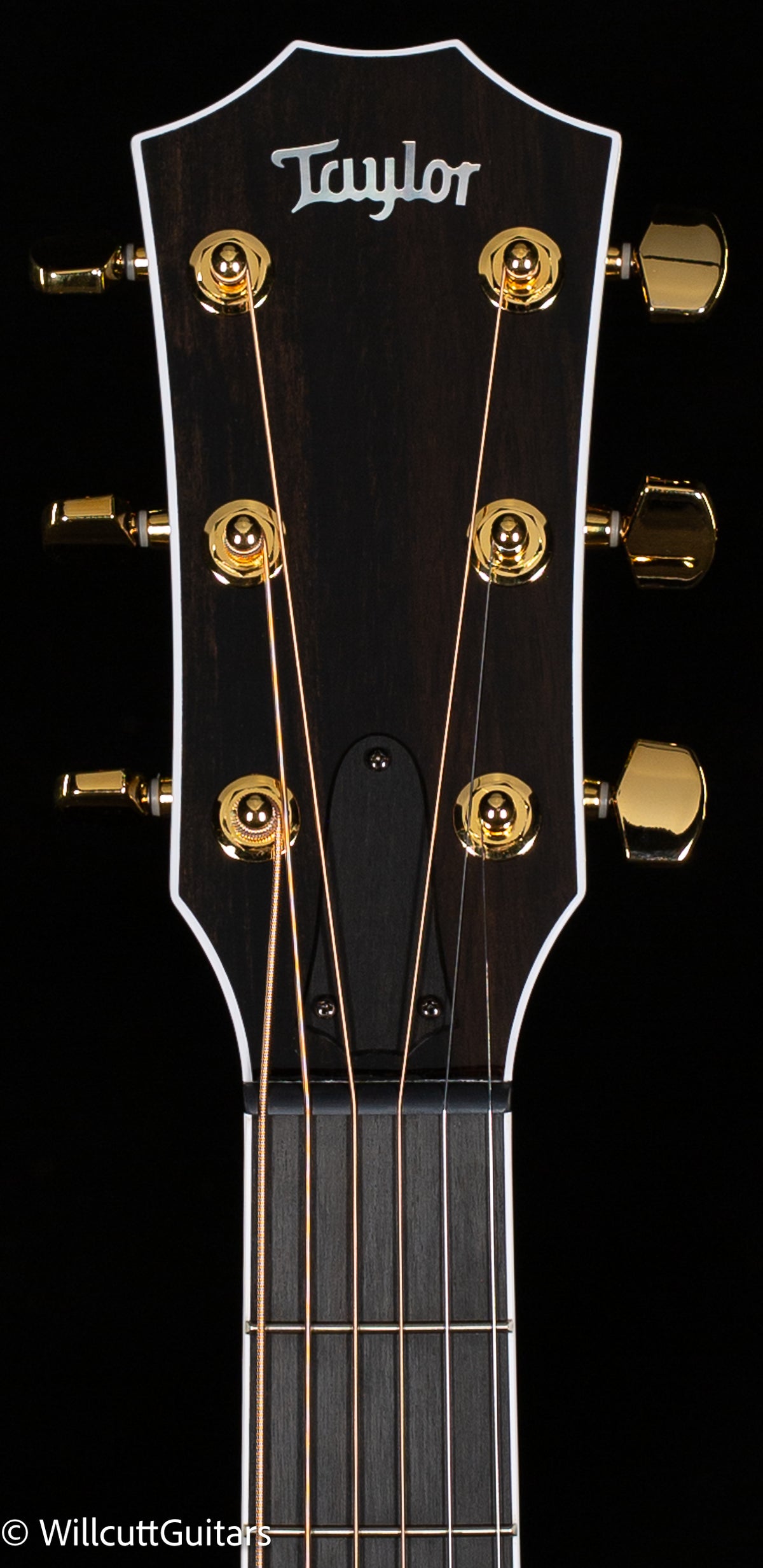 Taylor 614ce Special Edition, Pacific Blue (071)