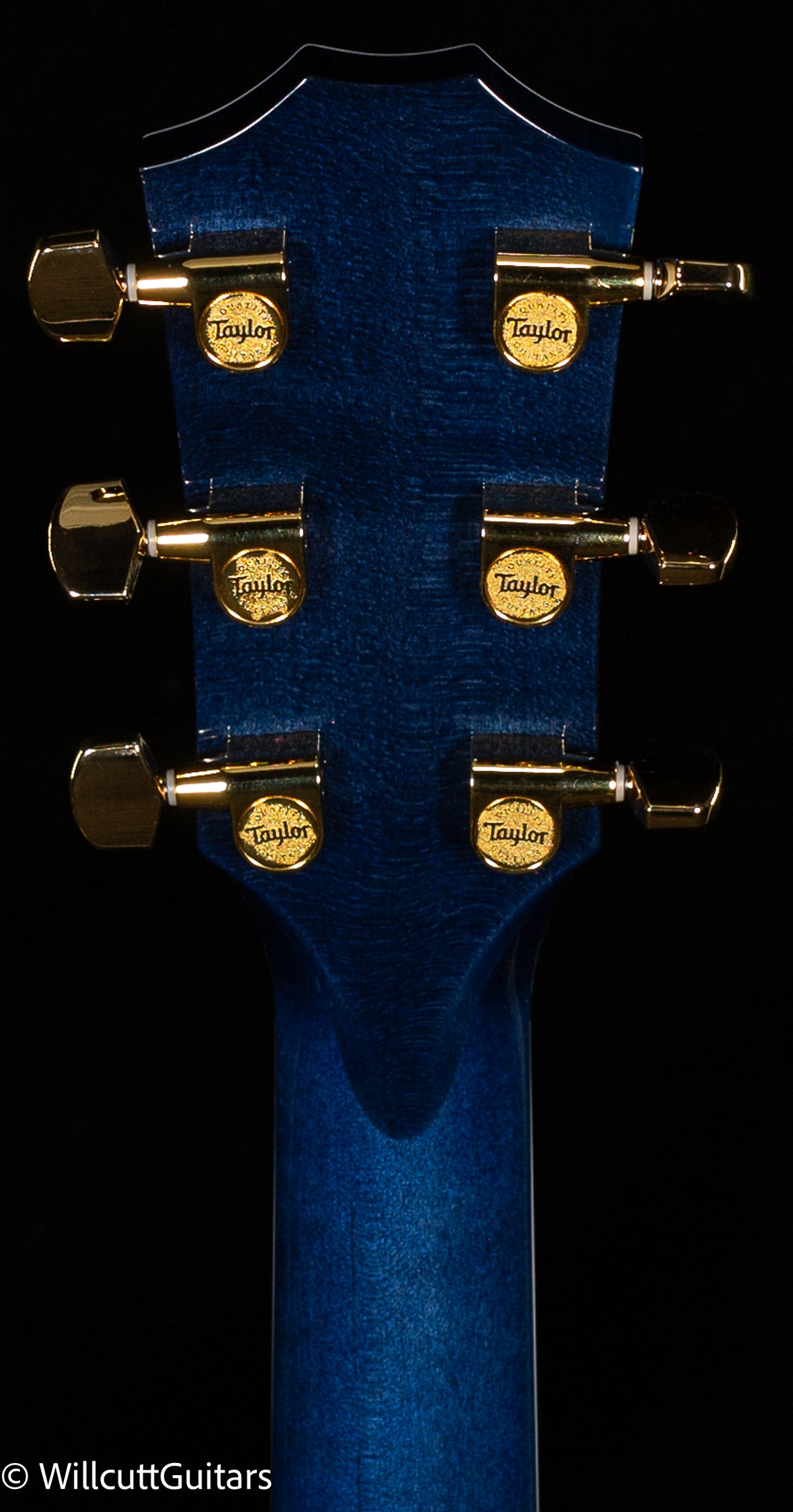 Taylor 614ce Special Edition, Pacific Blue (071)
