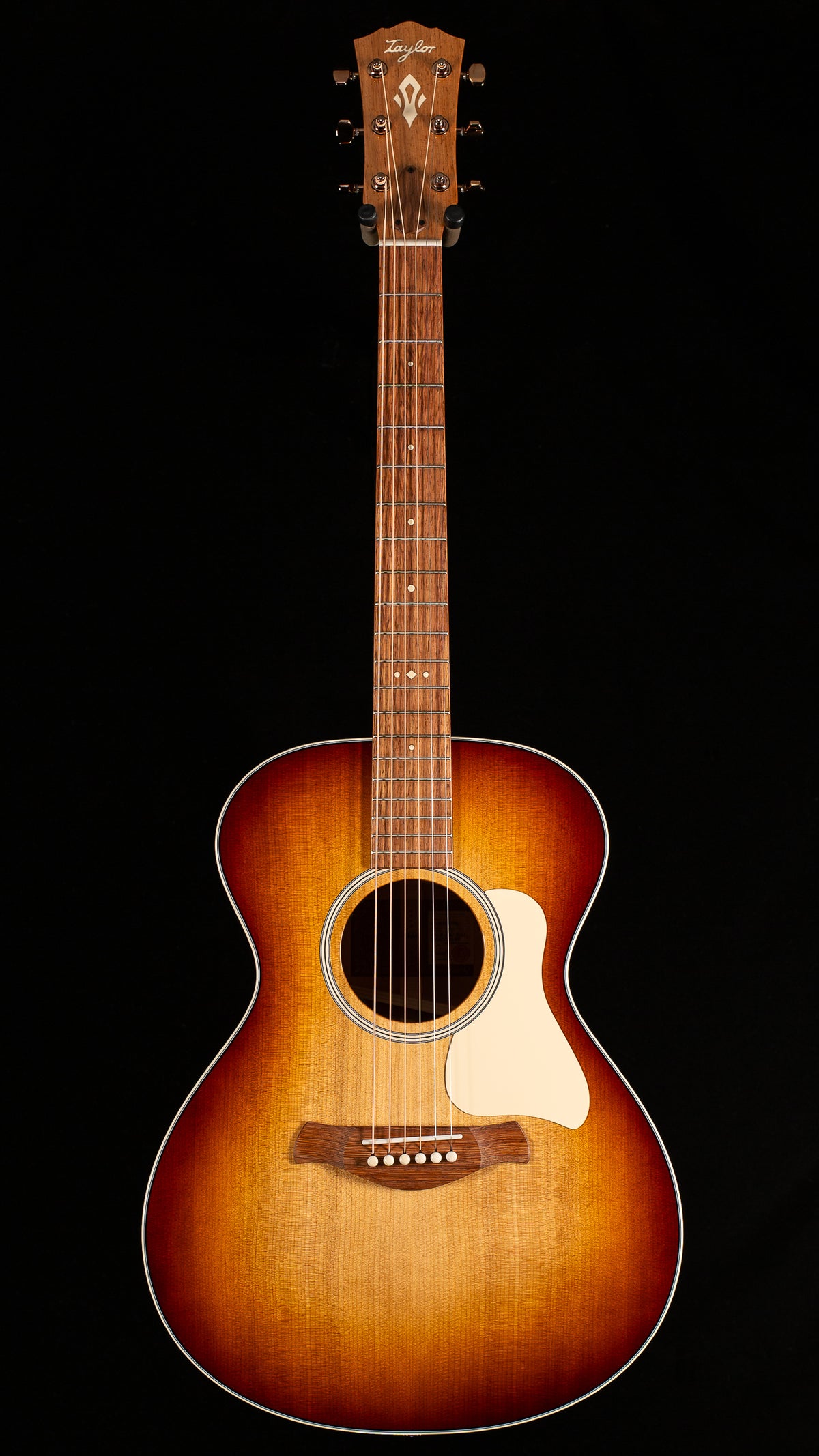 Taylor Ben Harper Gold Label 512e Special Edition (079)