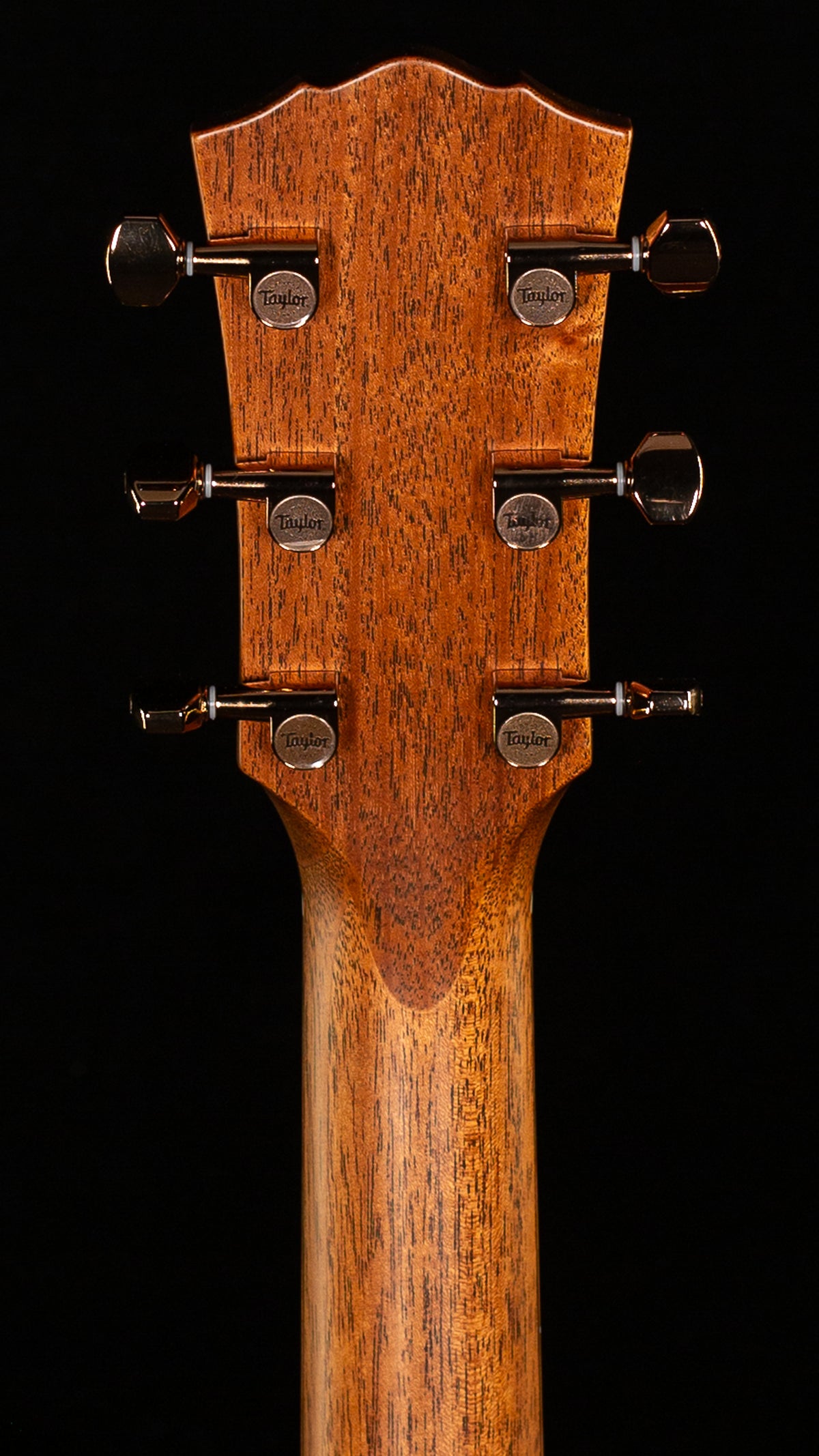 Taylor Ben Harper Gold Label 512e Special Edition (079)