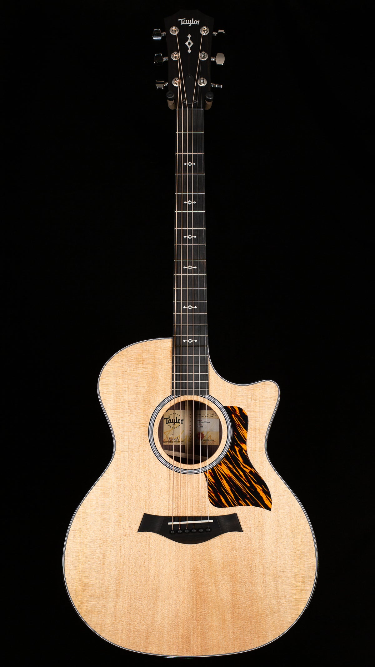 Taylor Next Generation 414ce (004)