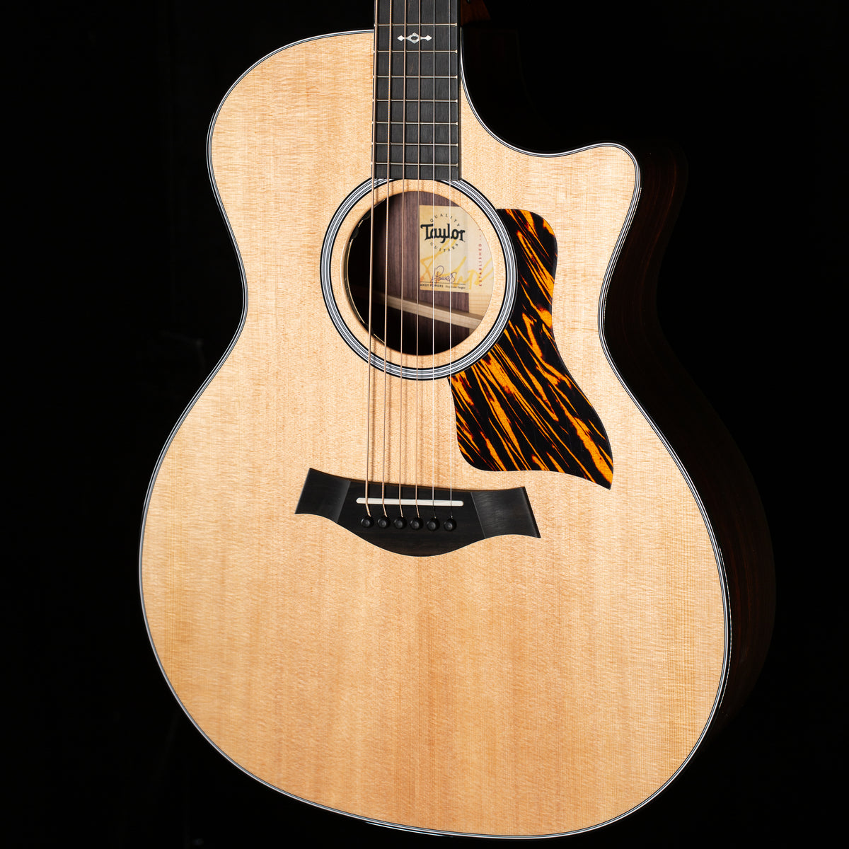 Taylor Next Generation 414ce (004)