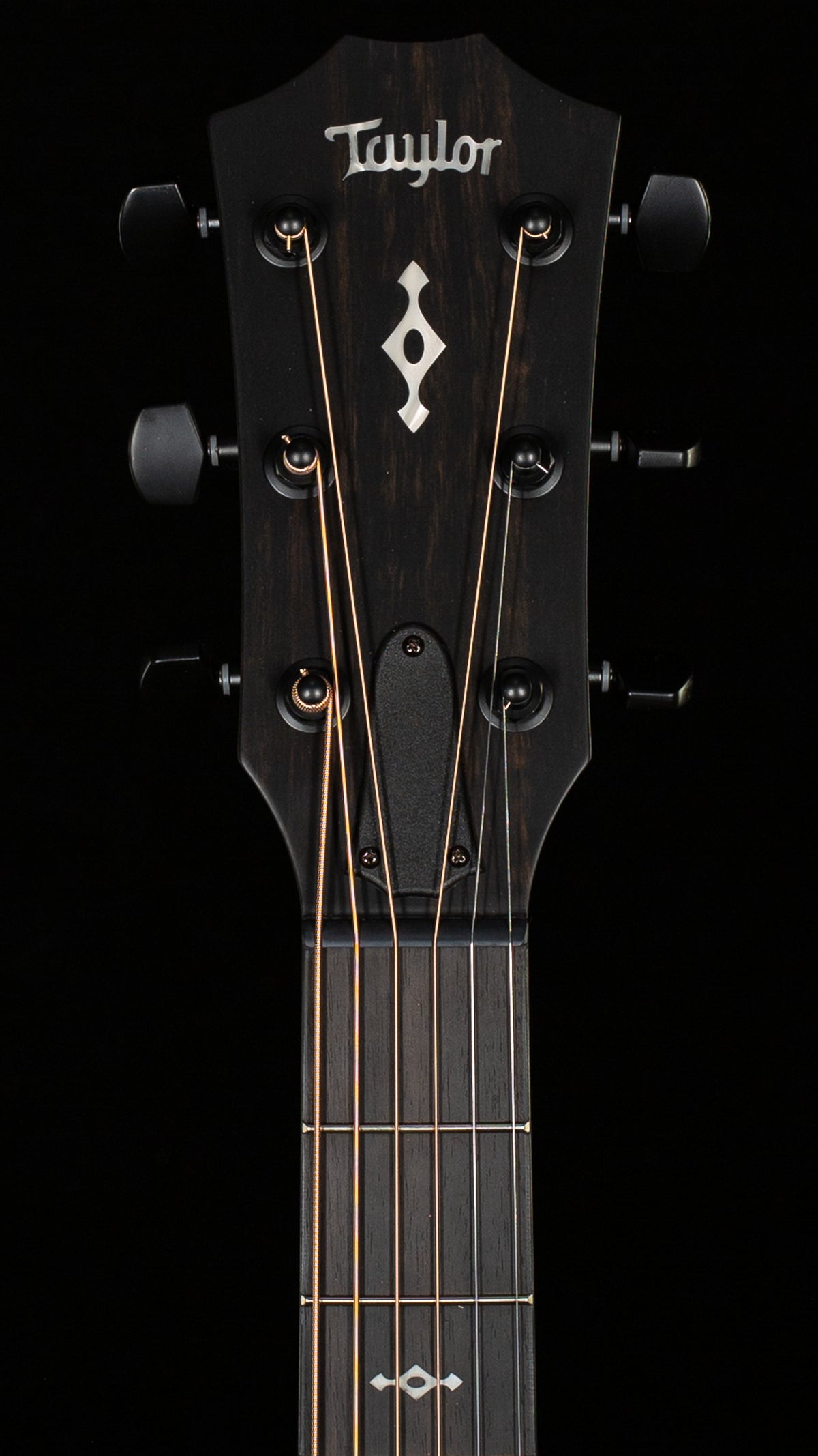 Taylor Next Generation 324ce Sapele/Mahogany (014)