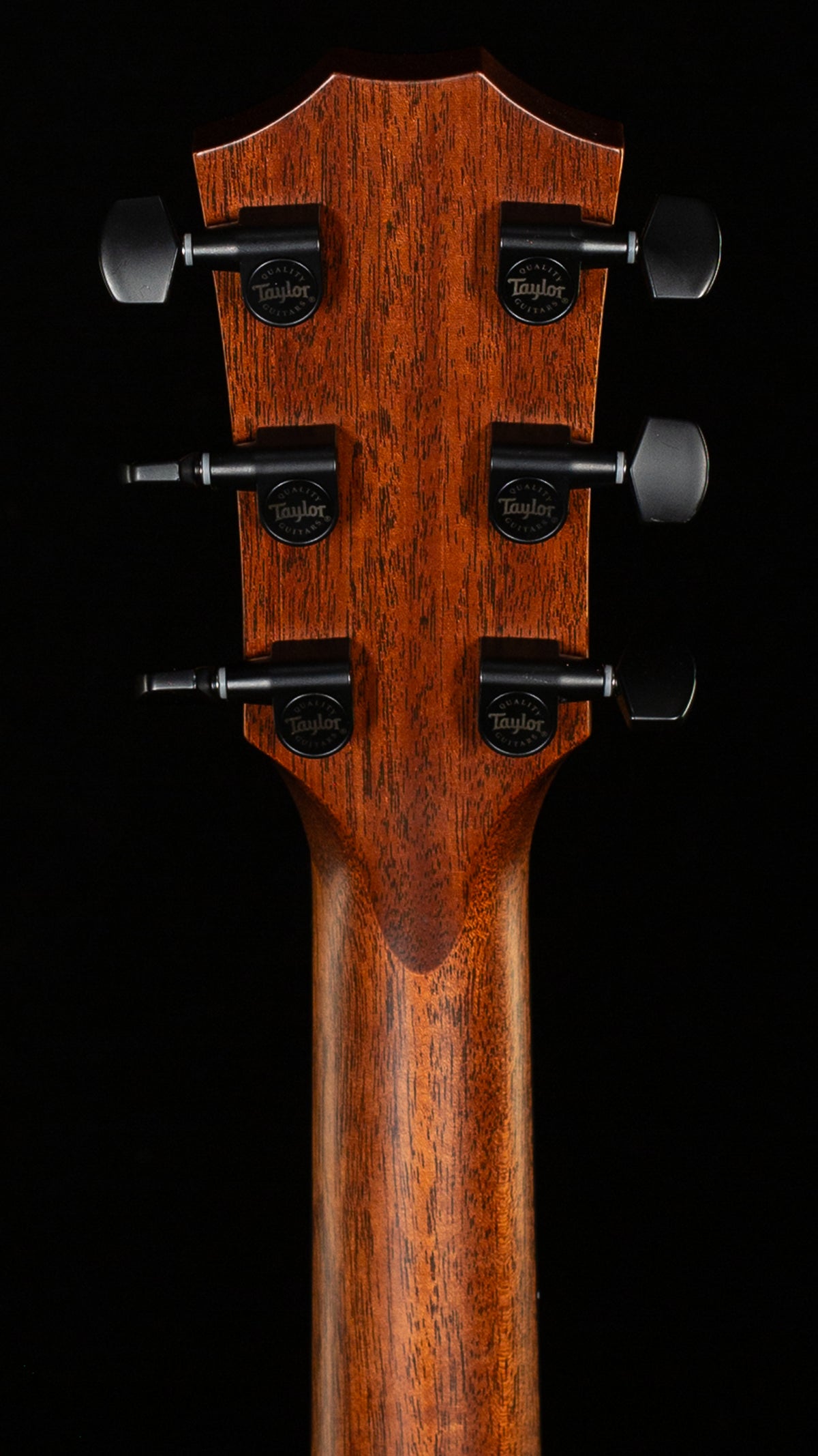 Taylor Next Generation 324ce Sapele/Mahogany (014)
