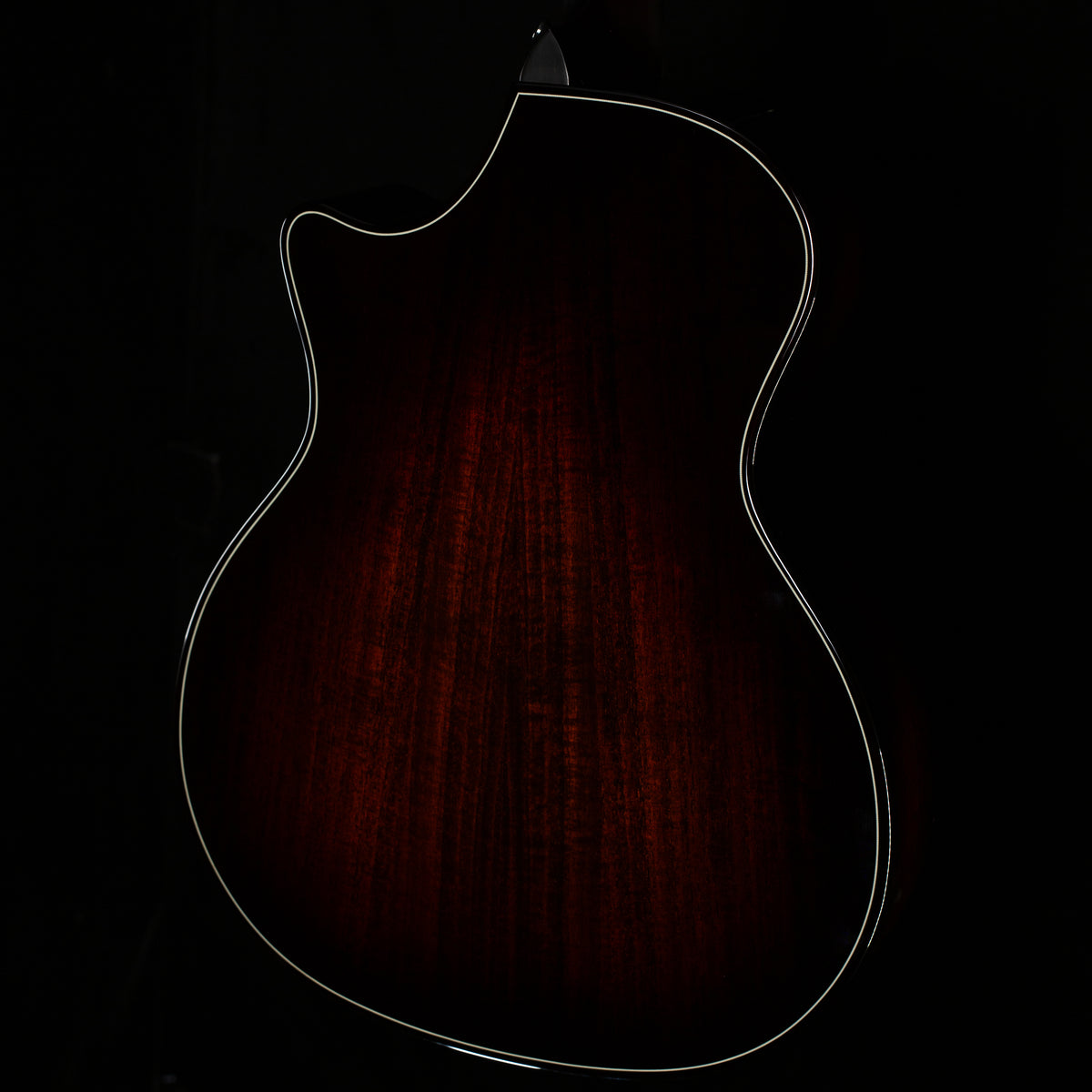 Taylor Next Generation Builder's Edition 514ce Shamel Ash/Spruce (051)