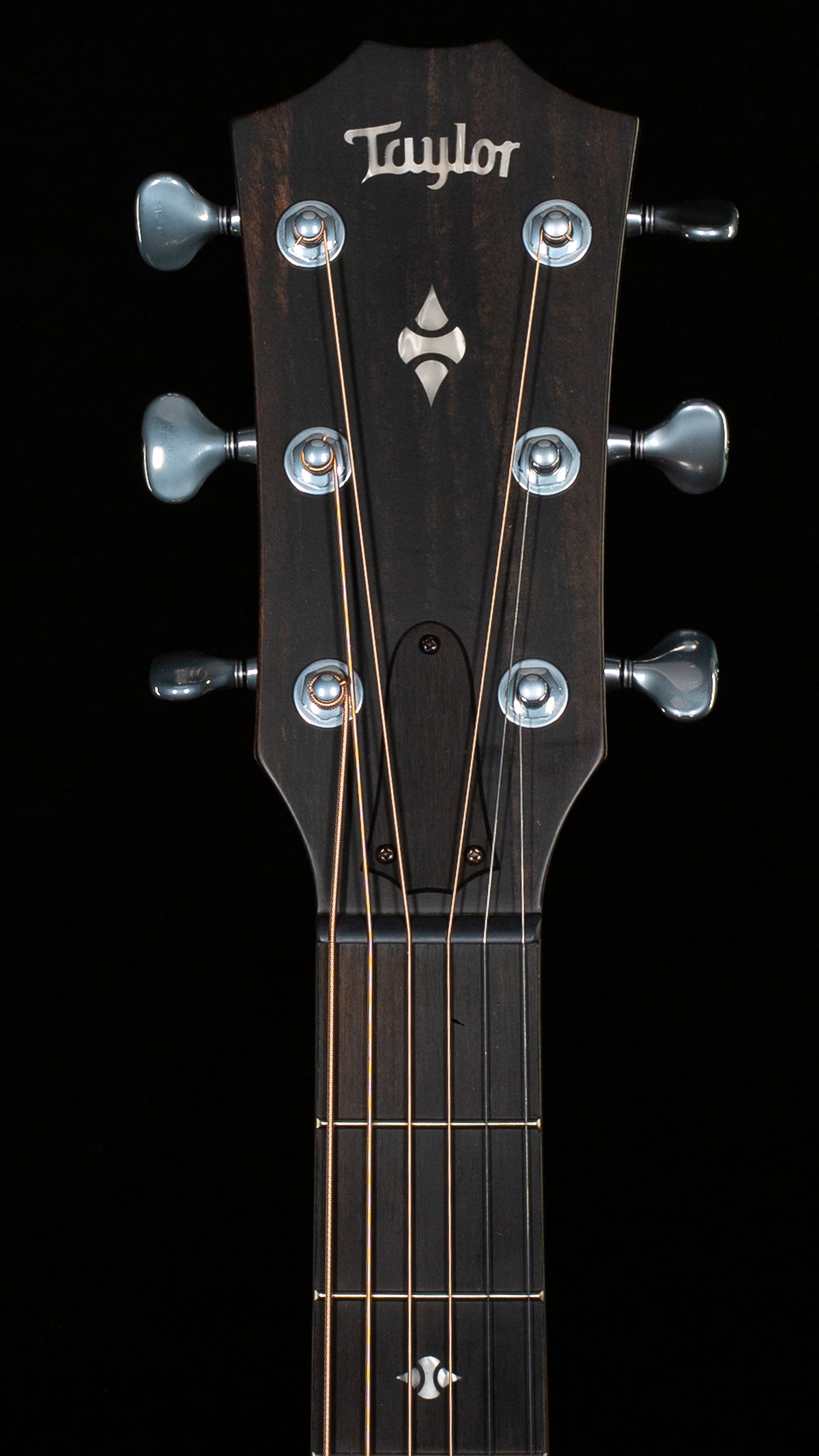 Taylor Next Generation Builder's Edition 514ce Shamel Ash/Spruce (051)
