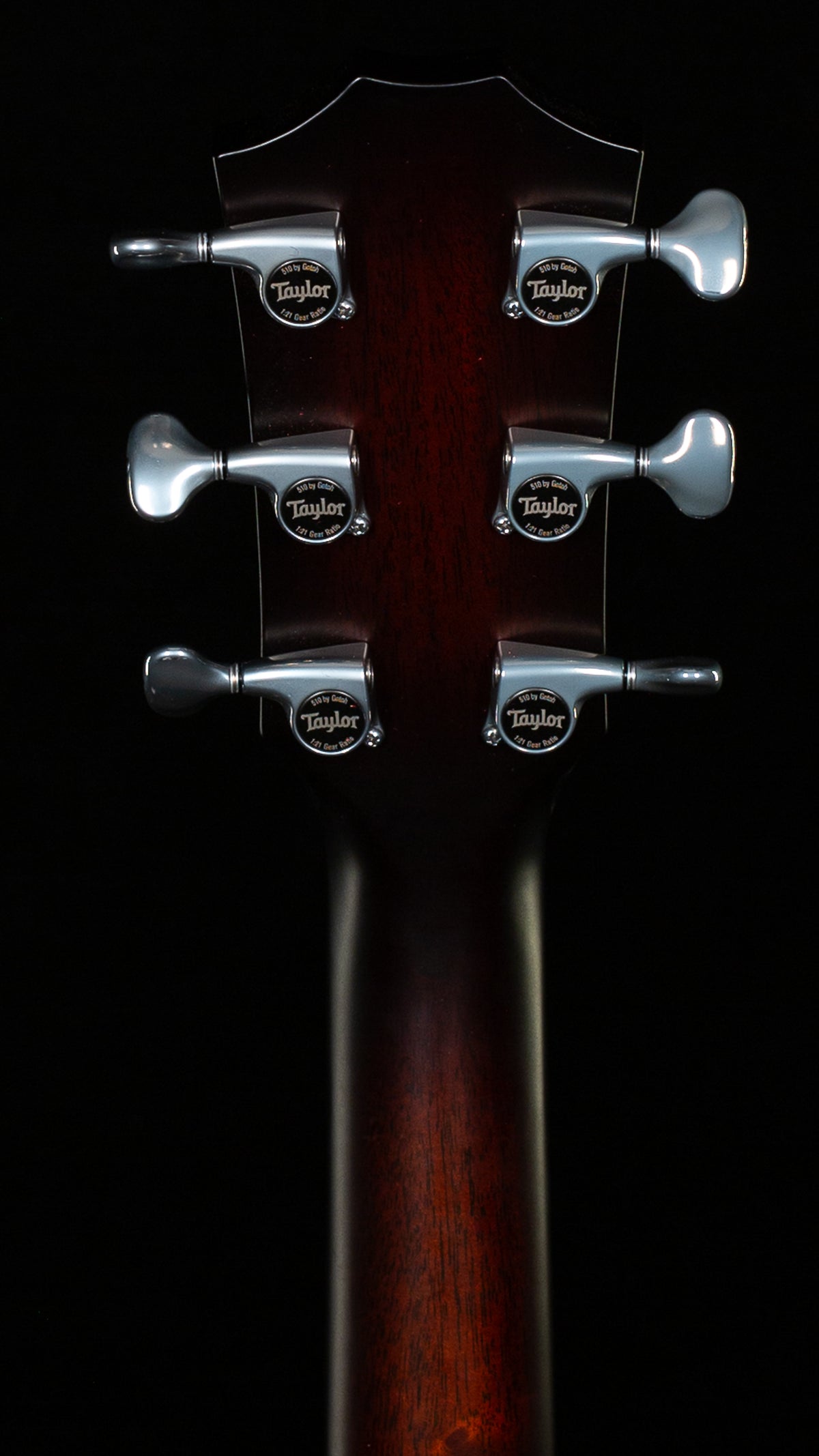 Taylor Next Generation Builder's Edition 514ce Shamel Ash/Spruce (051)