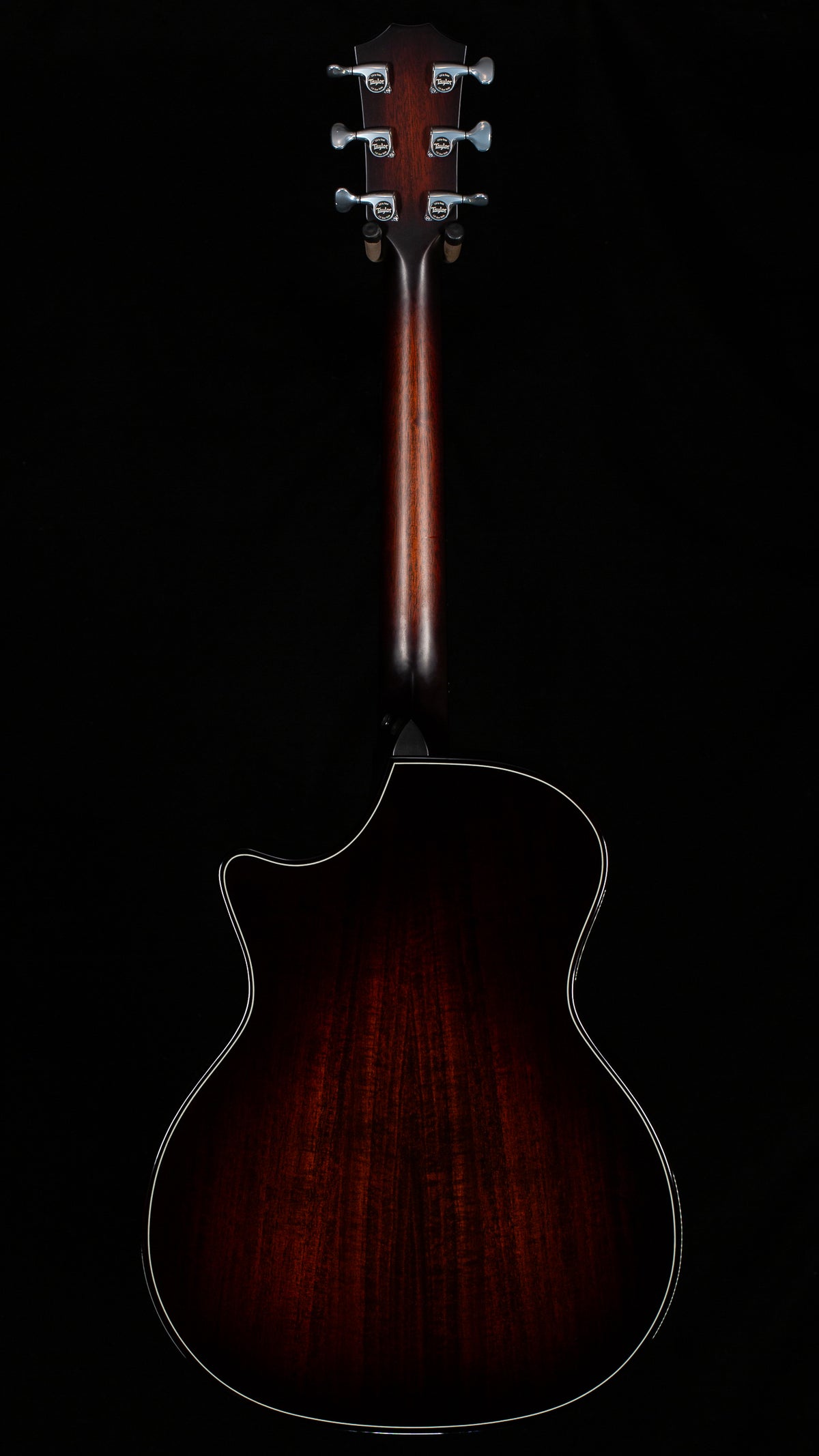 Taylor Next Generation Builder's Edition 514ce Shamel Ash/Spruce (051)