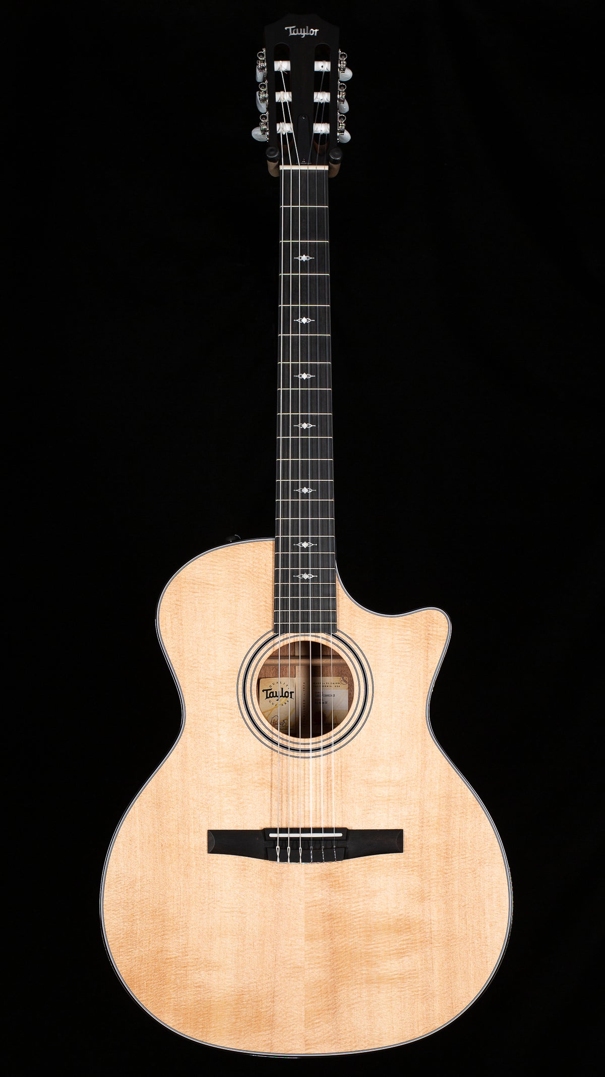 Taylor 314ce-N (063)