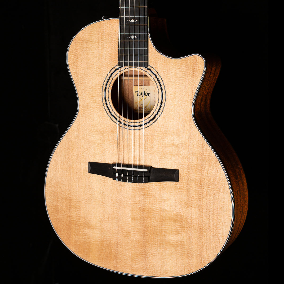 Taylor 314ce-N (063)