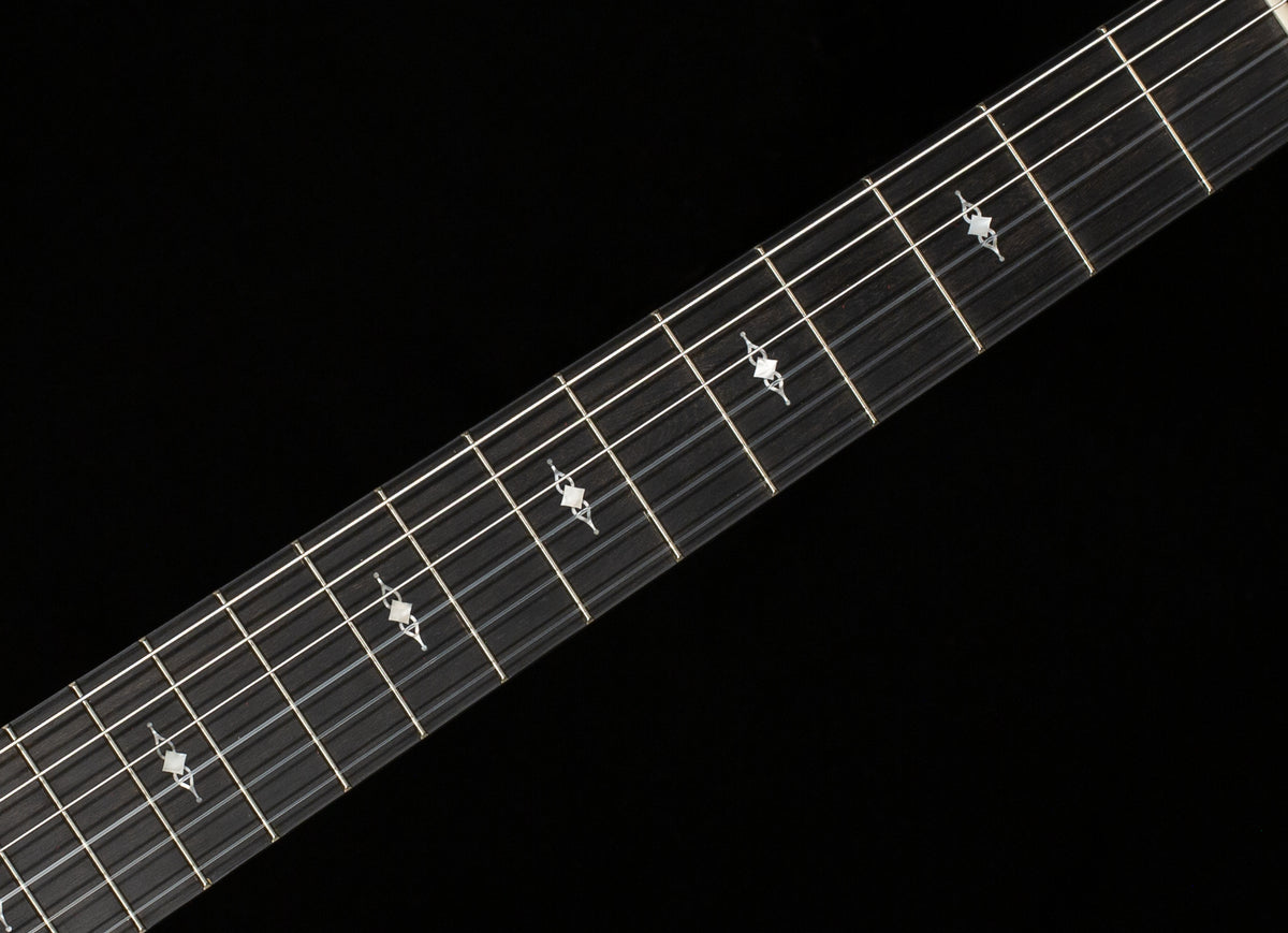 Taylor 314ce-N (063)