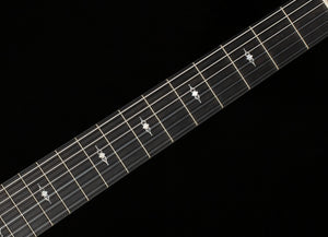 Taylor 314ce-N (063)