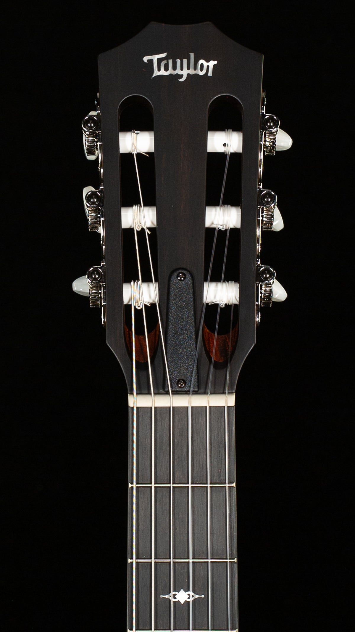 Taylor 314ce-N (063)
