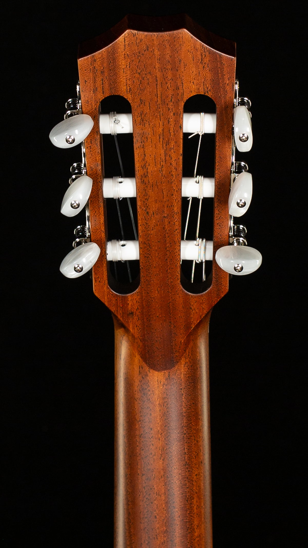 Taylor 314ce-N (063)
