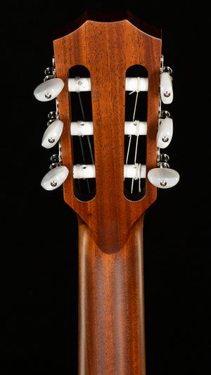 Taylor 314ce-N (063)